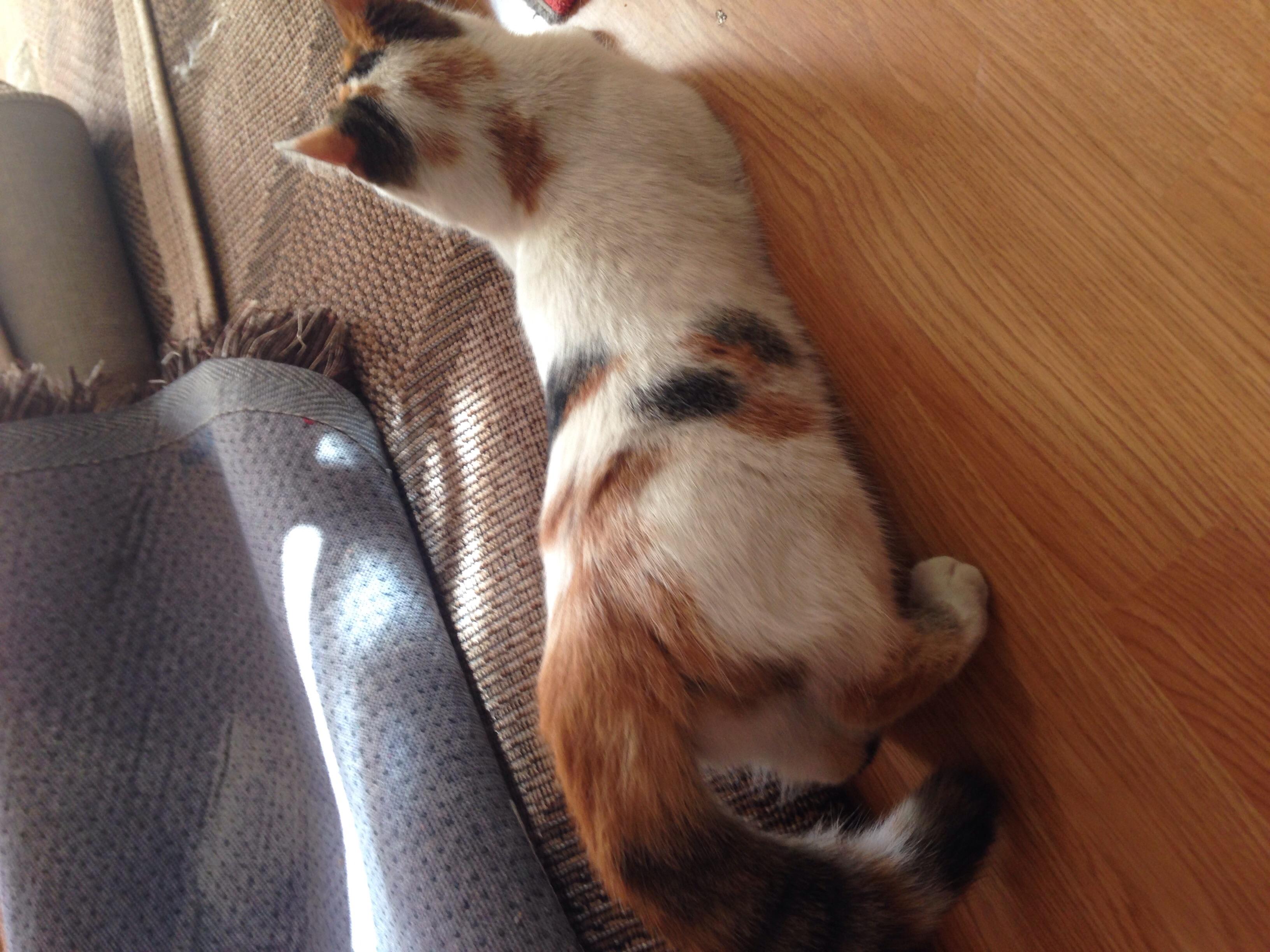 Question details sensitive content