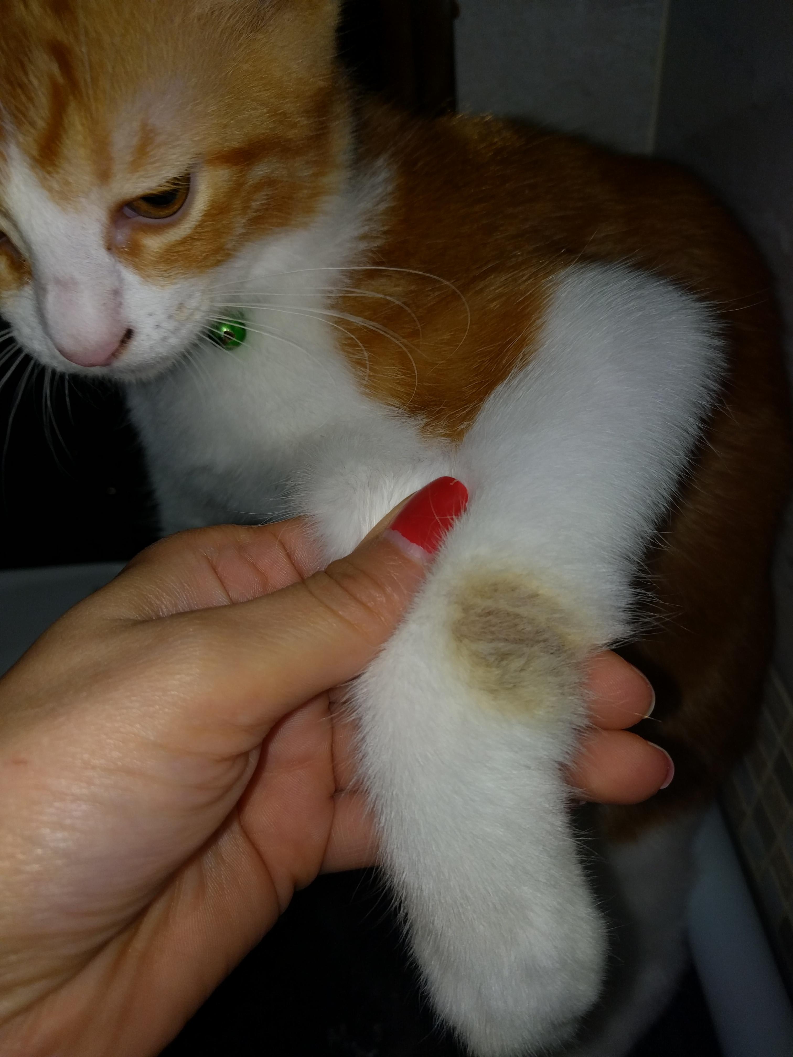 Question details sensitive content