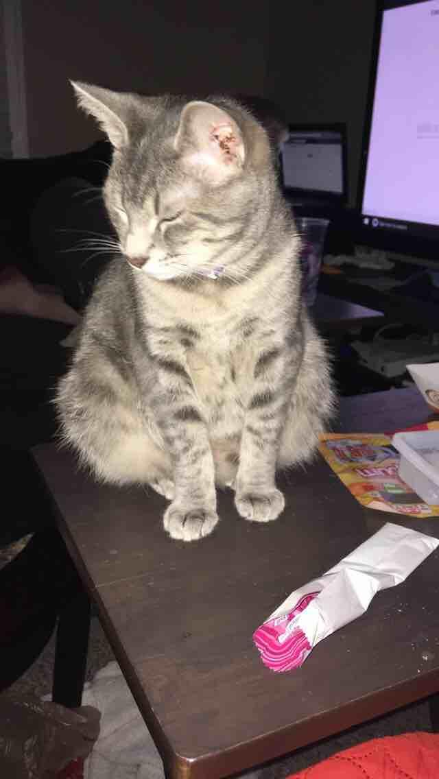 Question details sensitive content