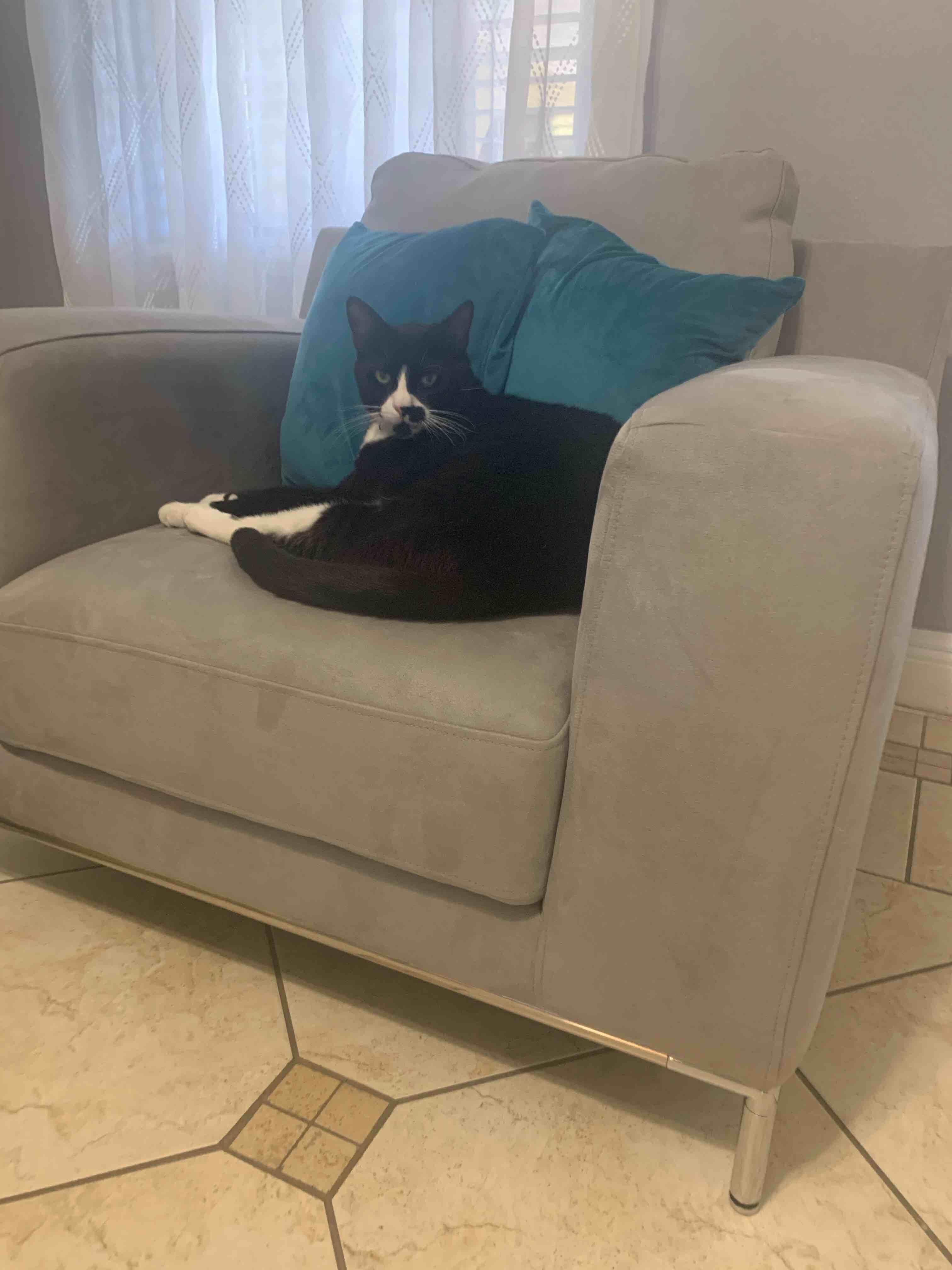 Question details sensitive content