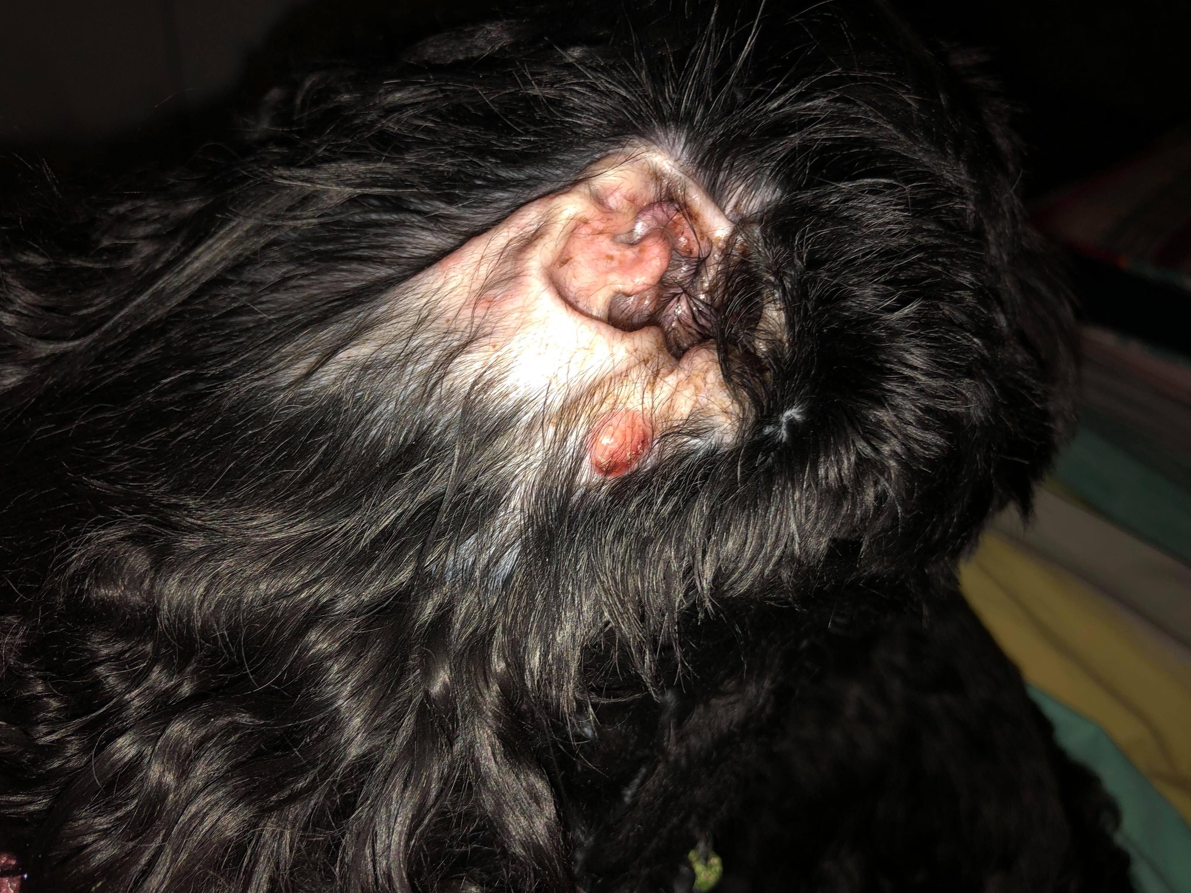 Question details sensitive content