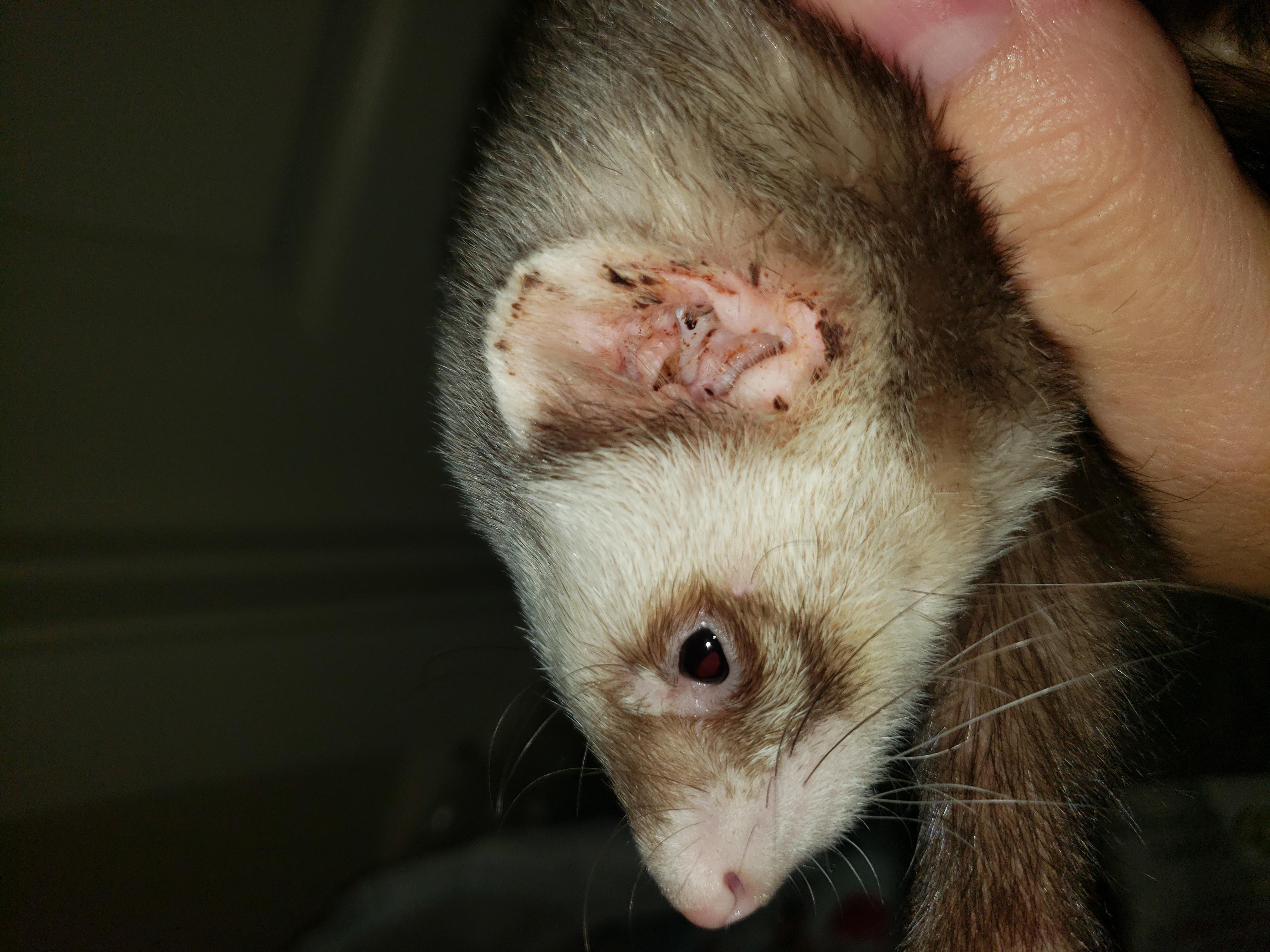 Question details sensitive content