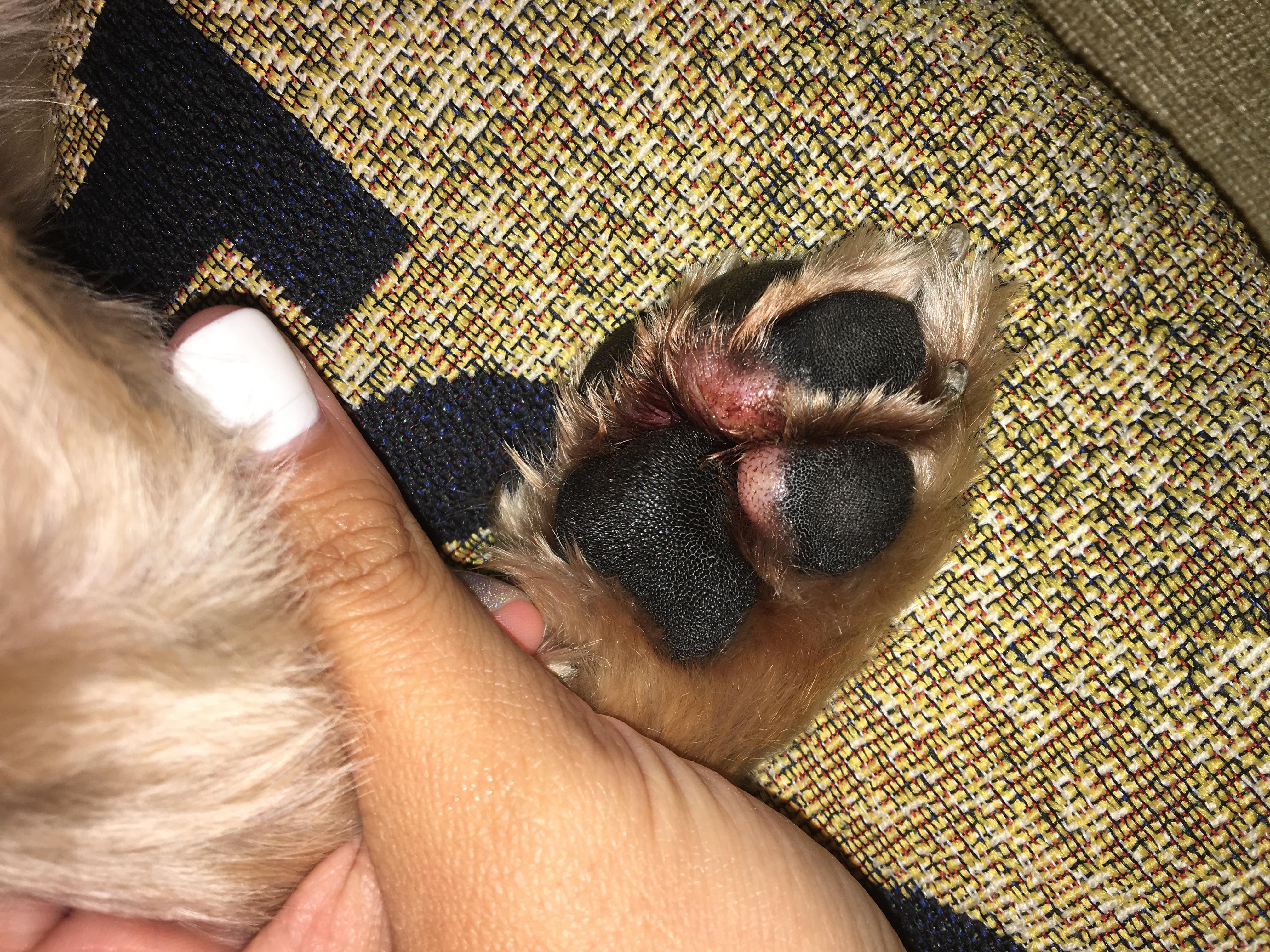 Question details sensitive content