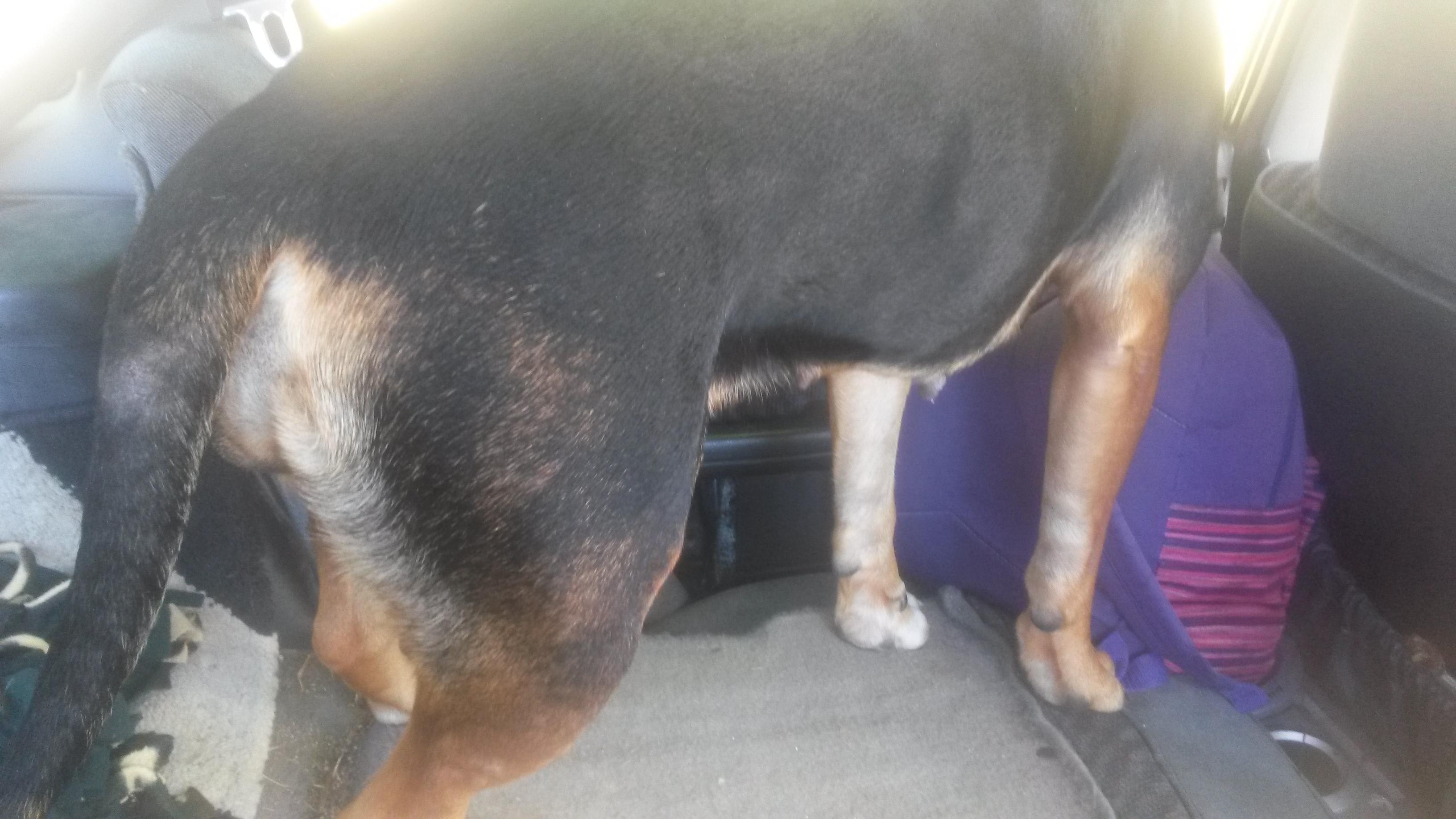 Question details sensitive content