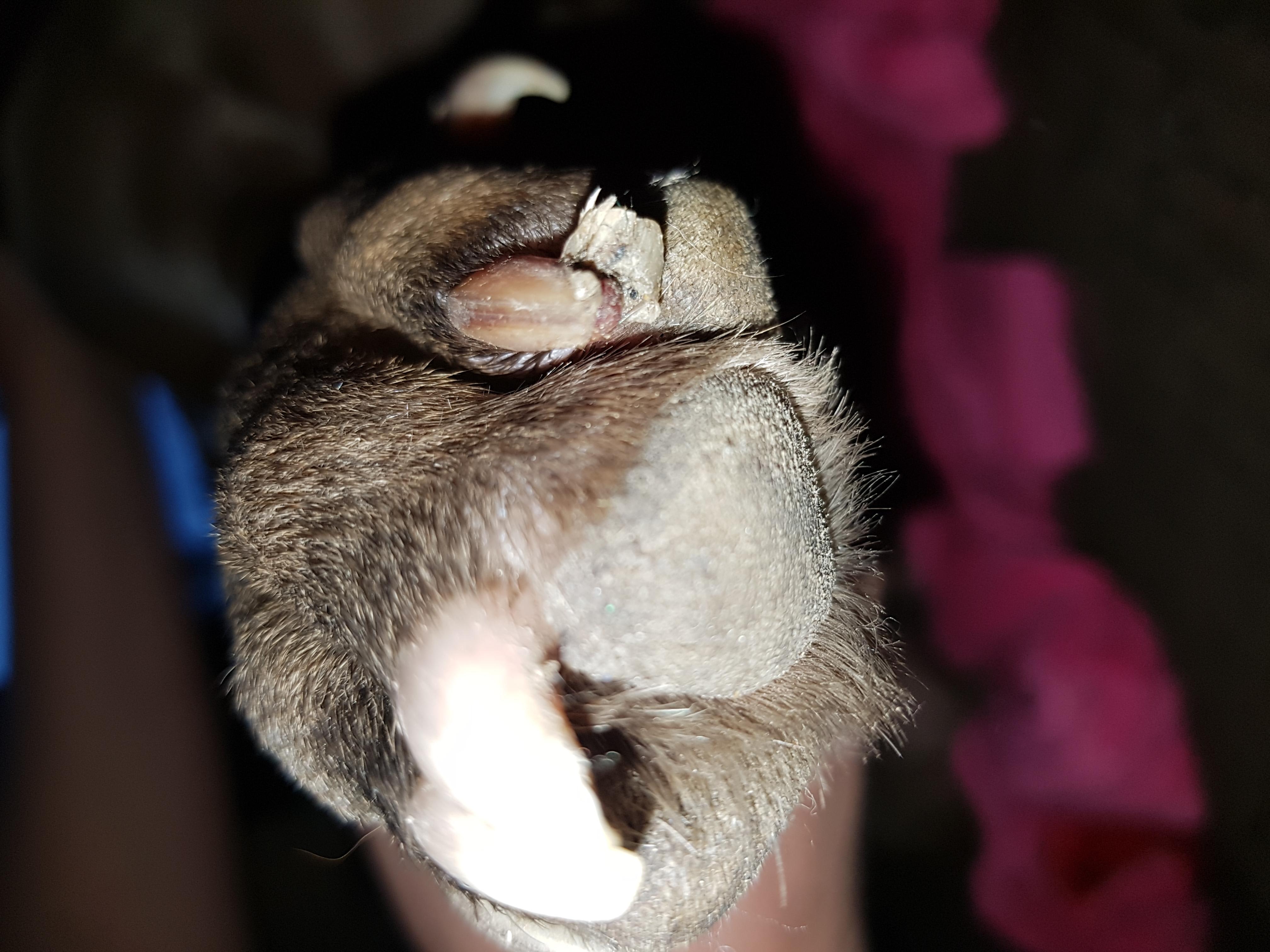 Question details sensitive content