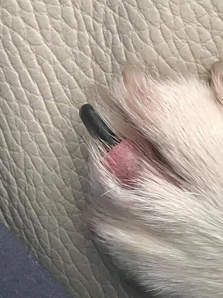 Question details sensitive content