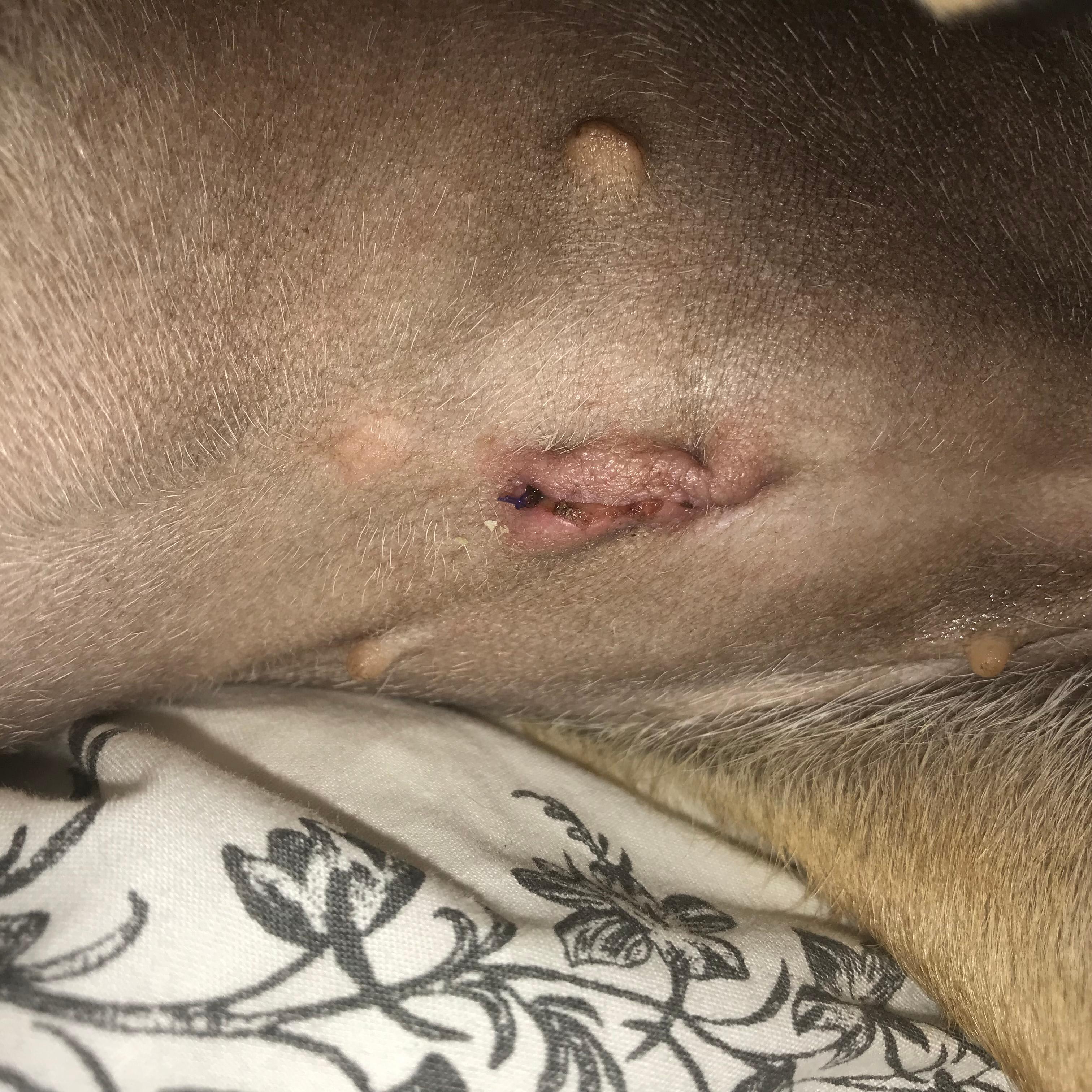 Question details sensitive content