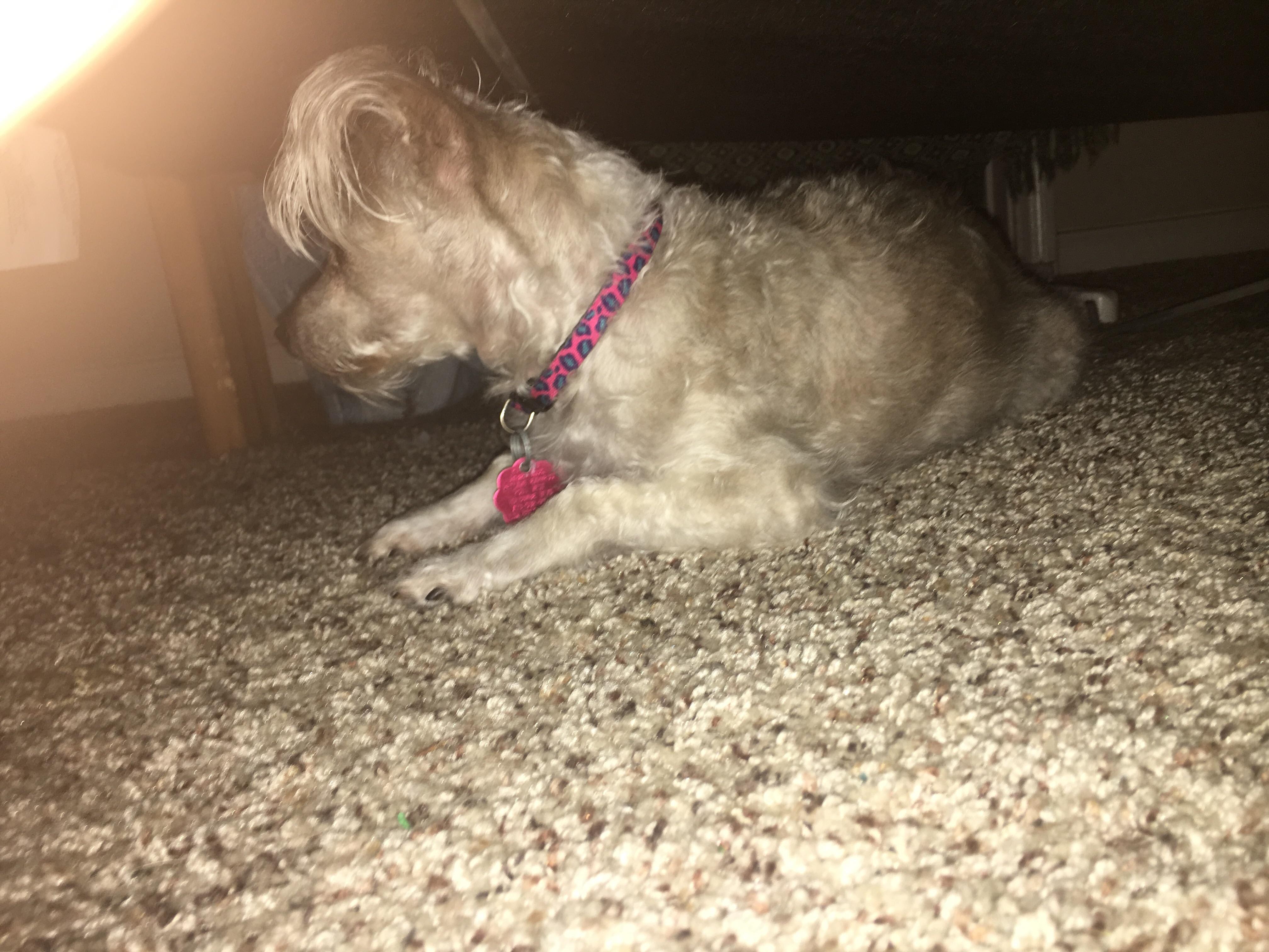 Question details sensitive content