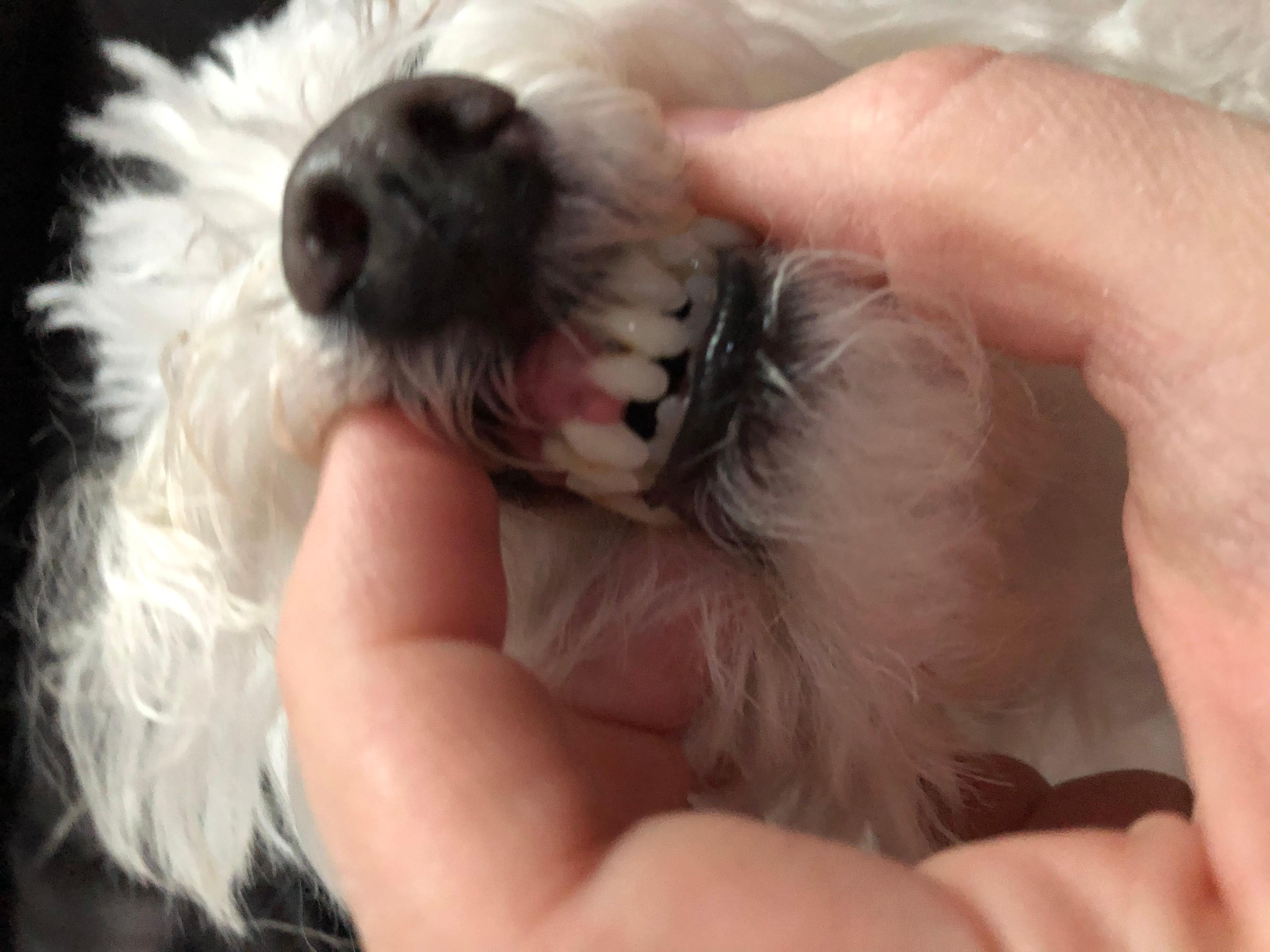 Question details sensitive content