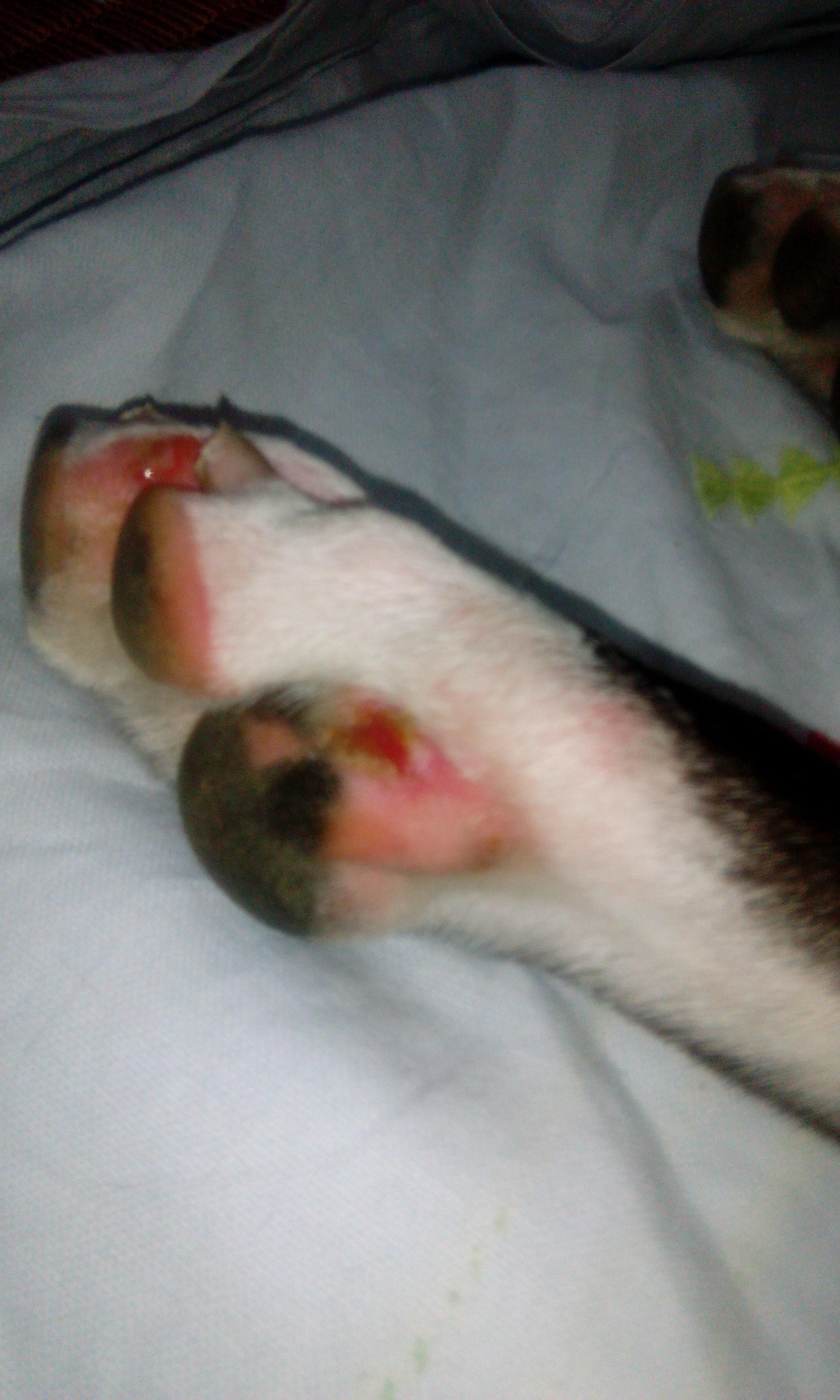 Question details sensitive content