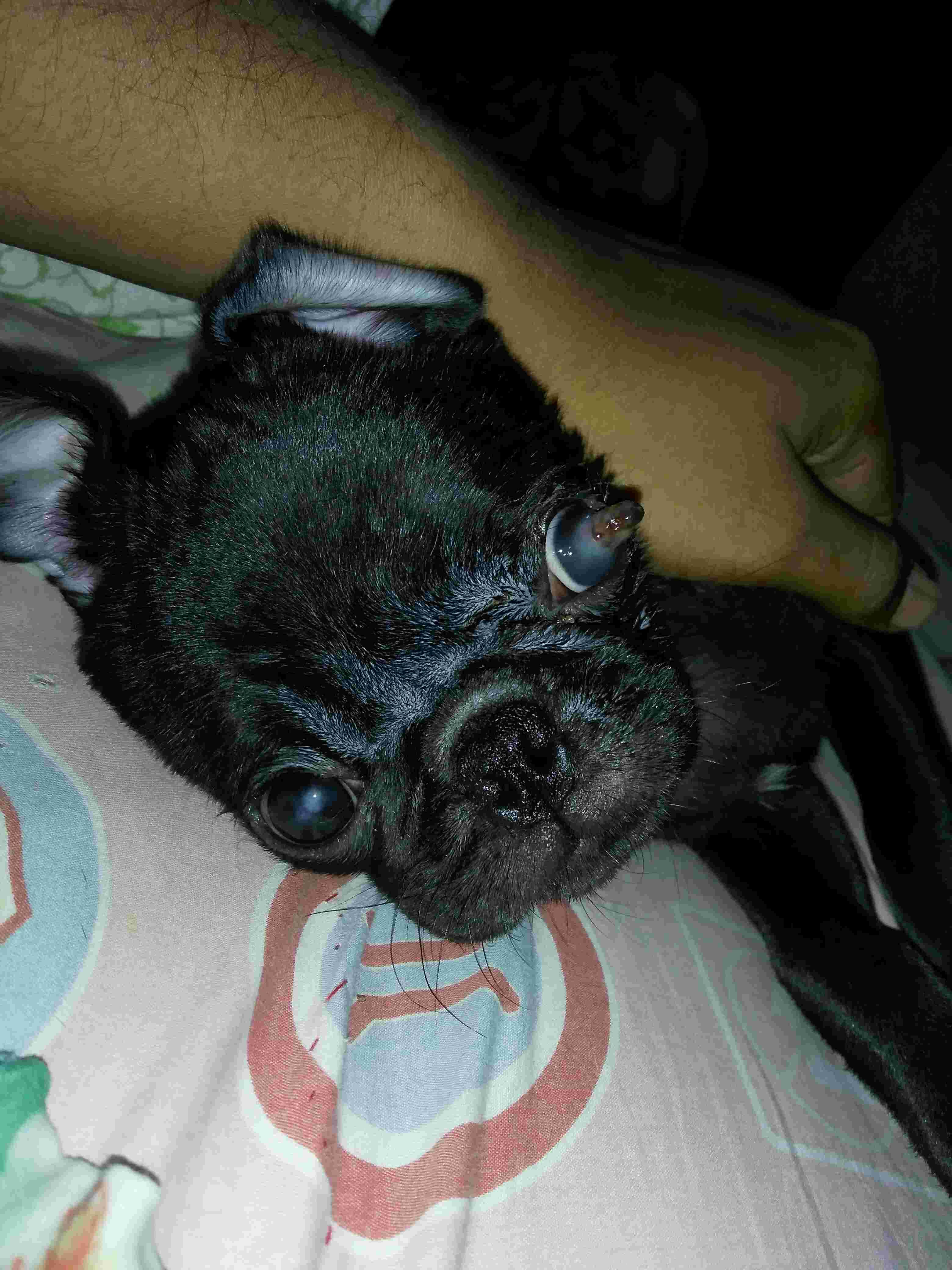 Question details sensitive content