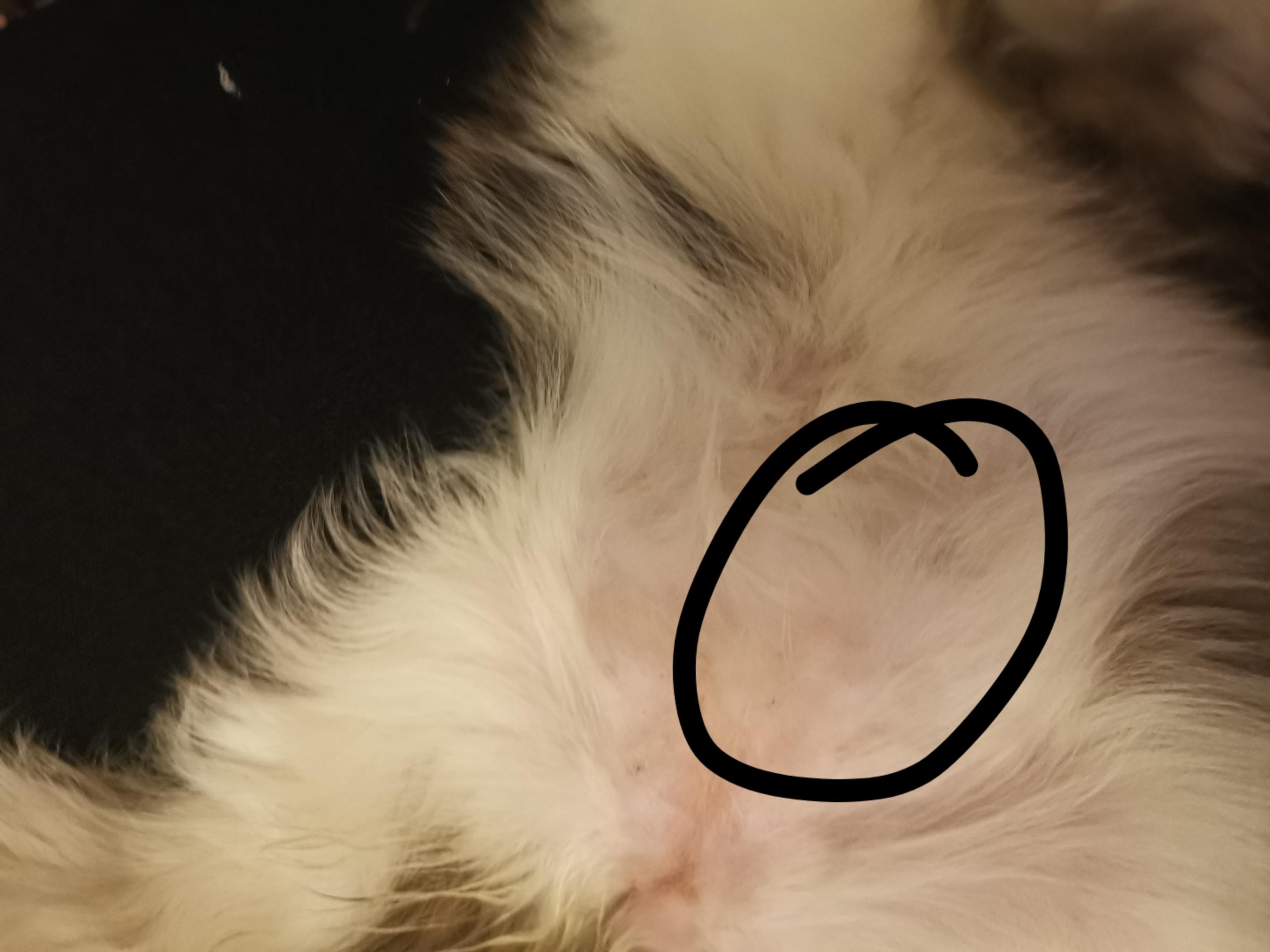 Question details sensitive content