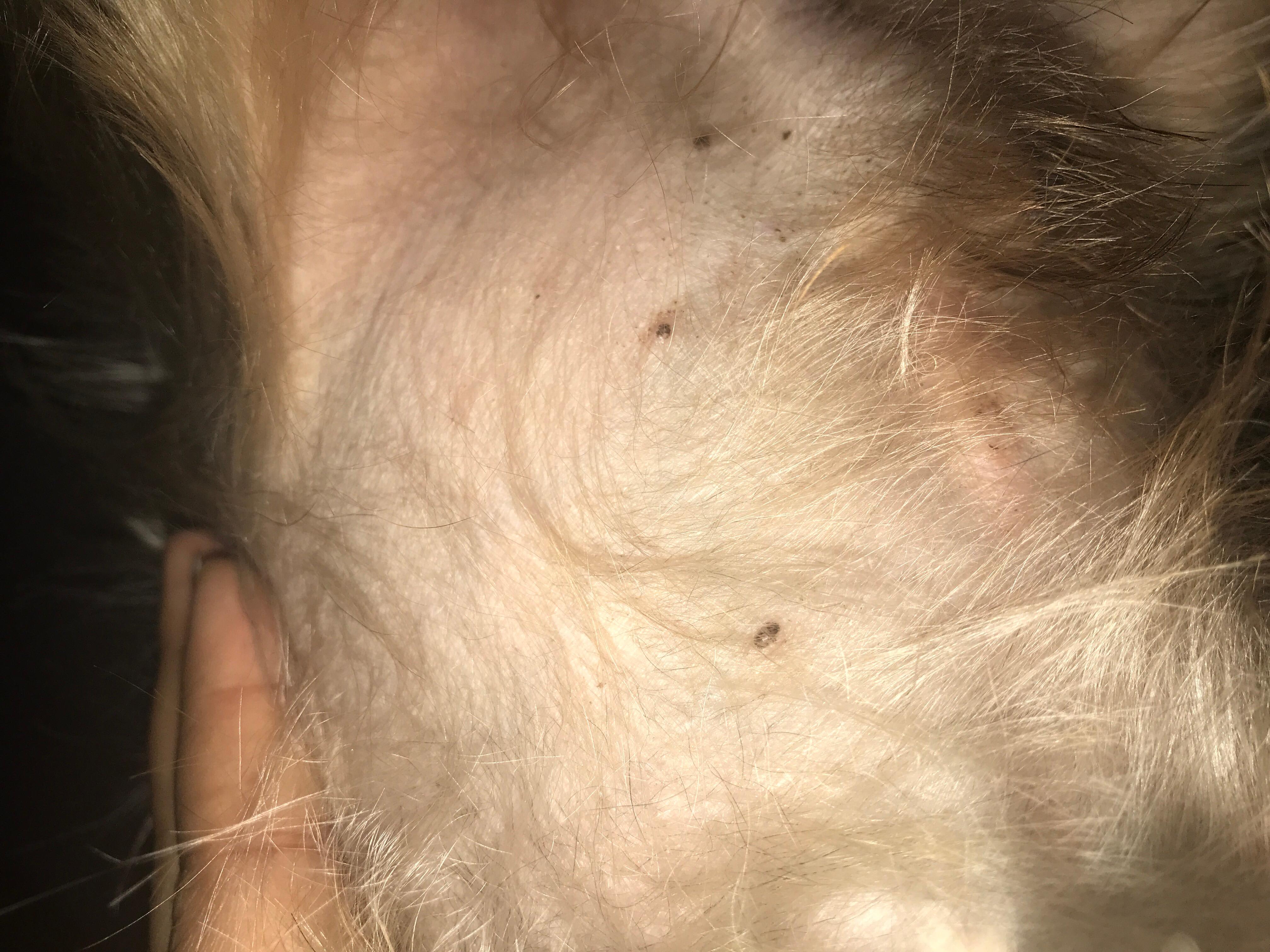 Question details sensitive content