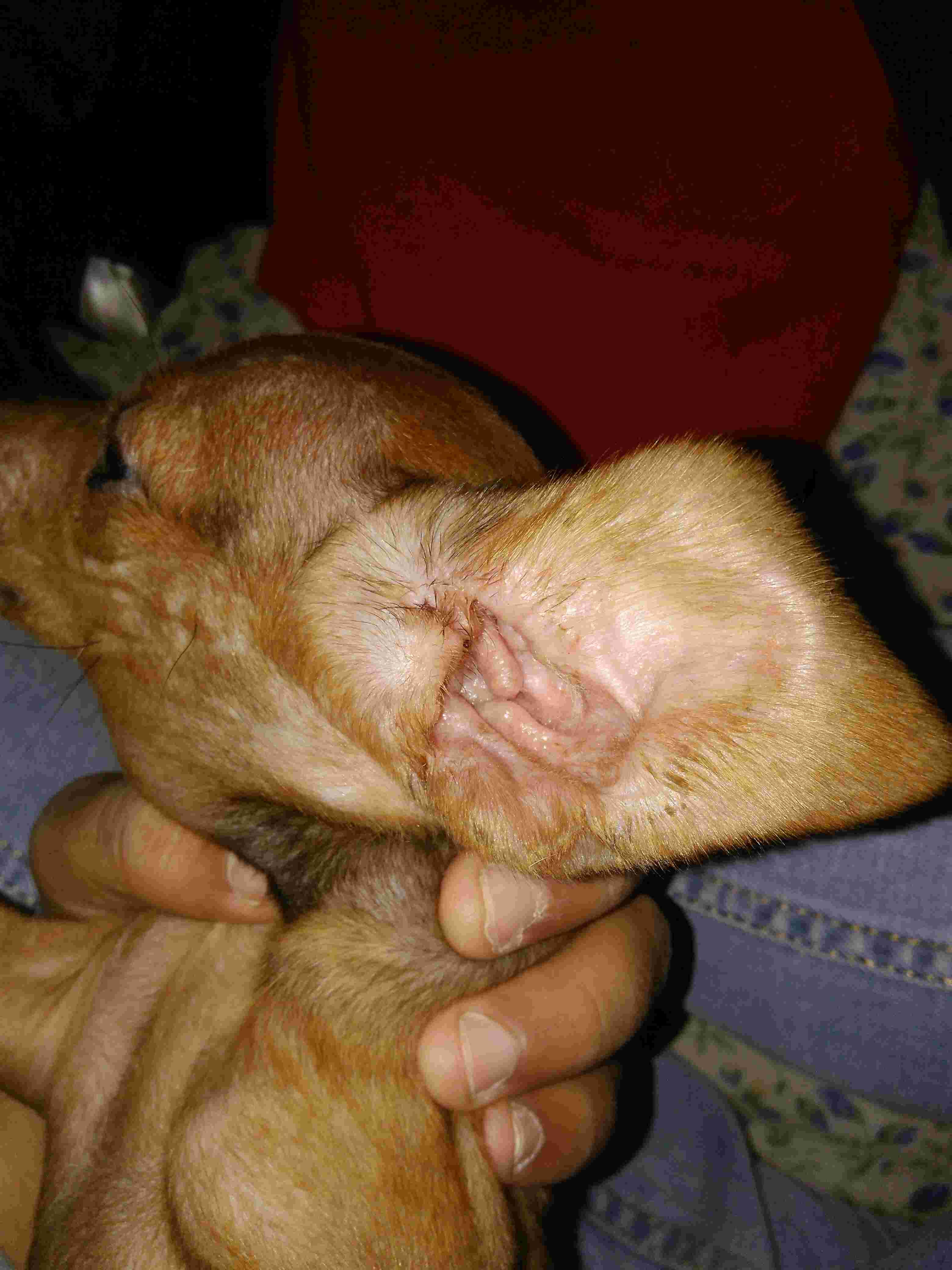 Question details sensitive content