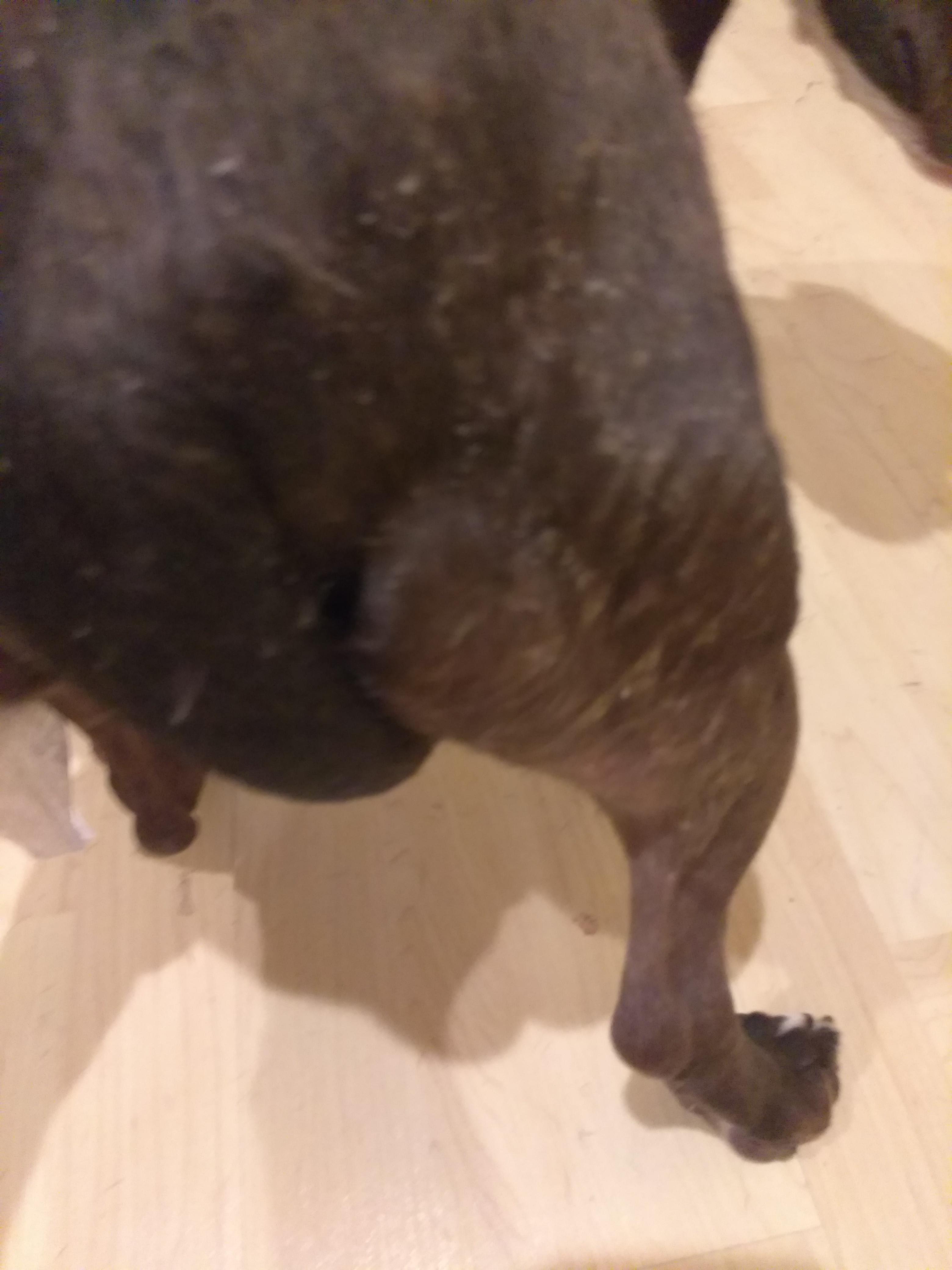 Question details sensitive content