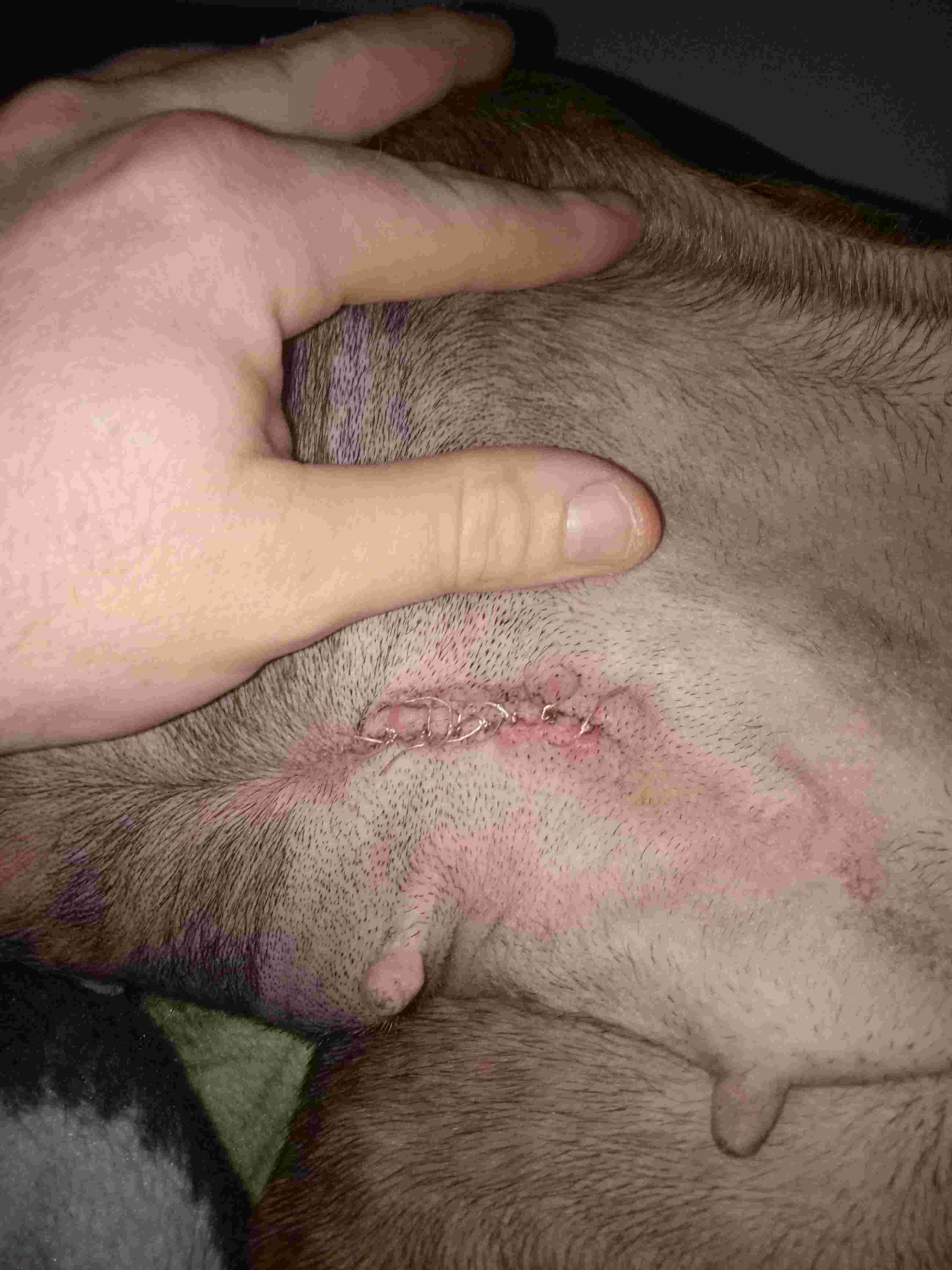 Question details sensitive content