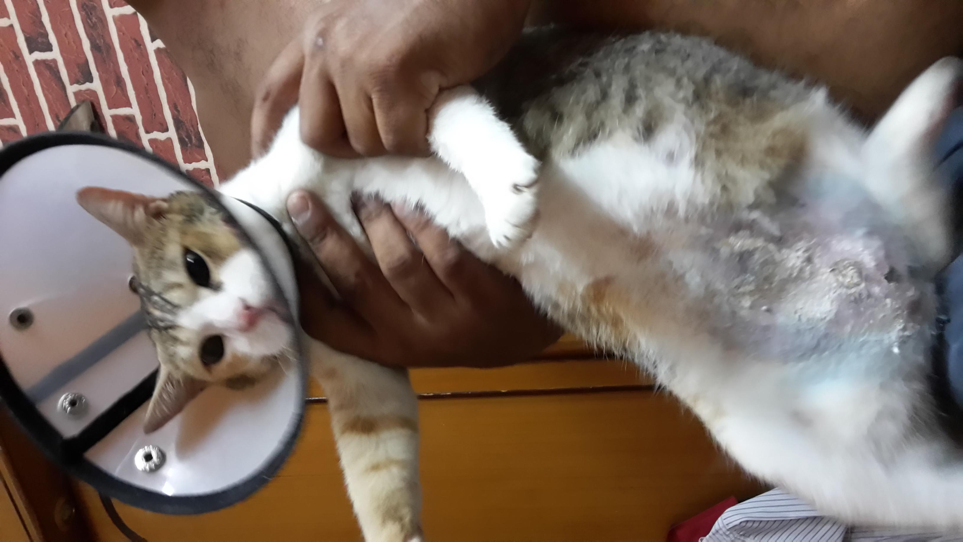 Question details sensitive content