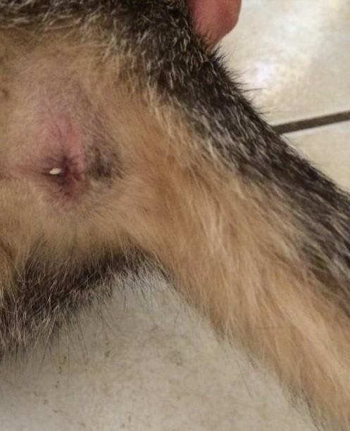 Question details sensitive content