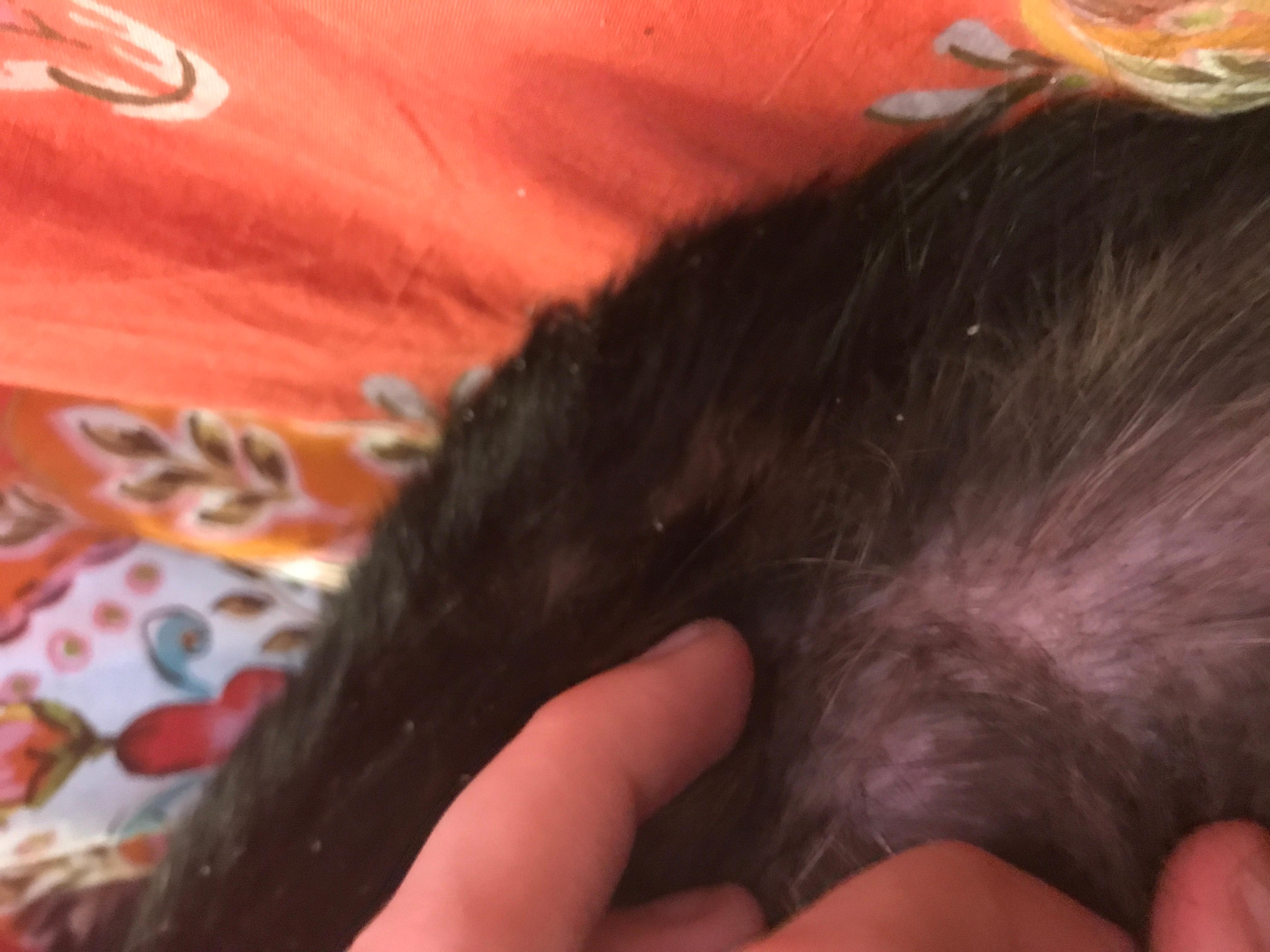 Question details sensitive content