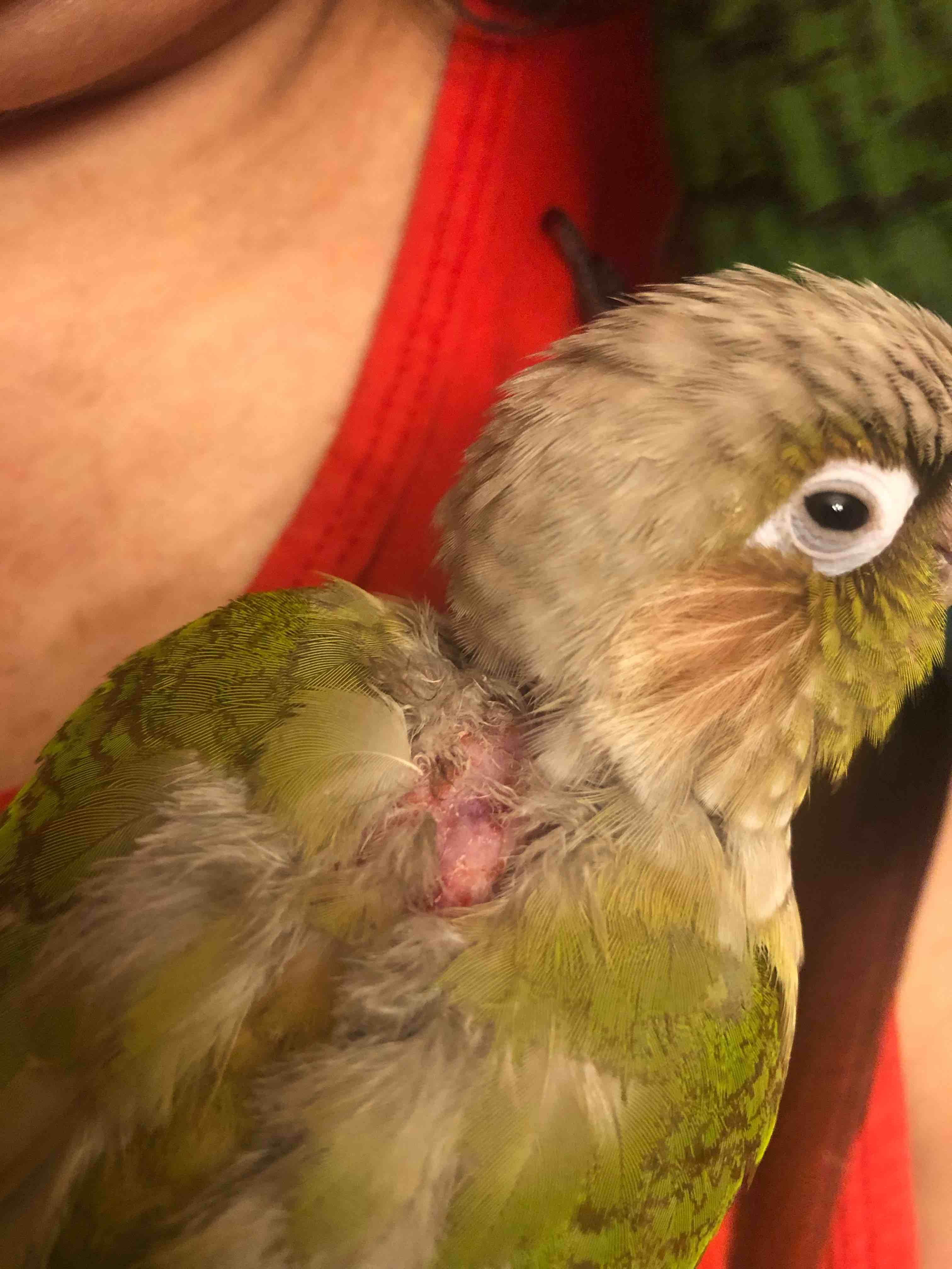 Question details sensitive content