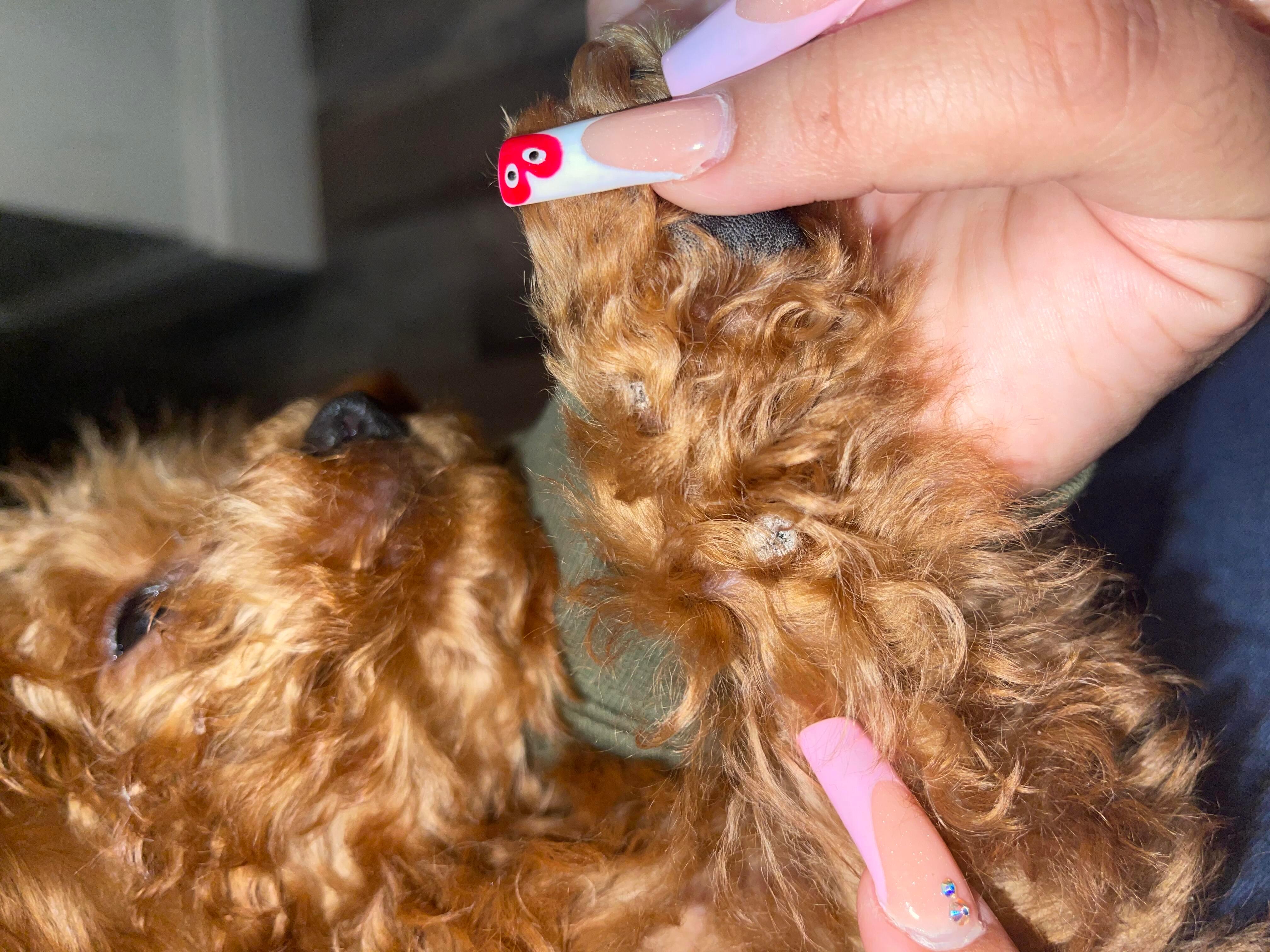 Question details sensitive content