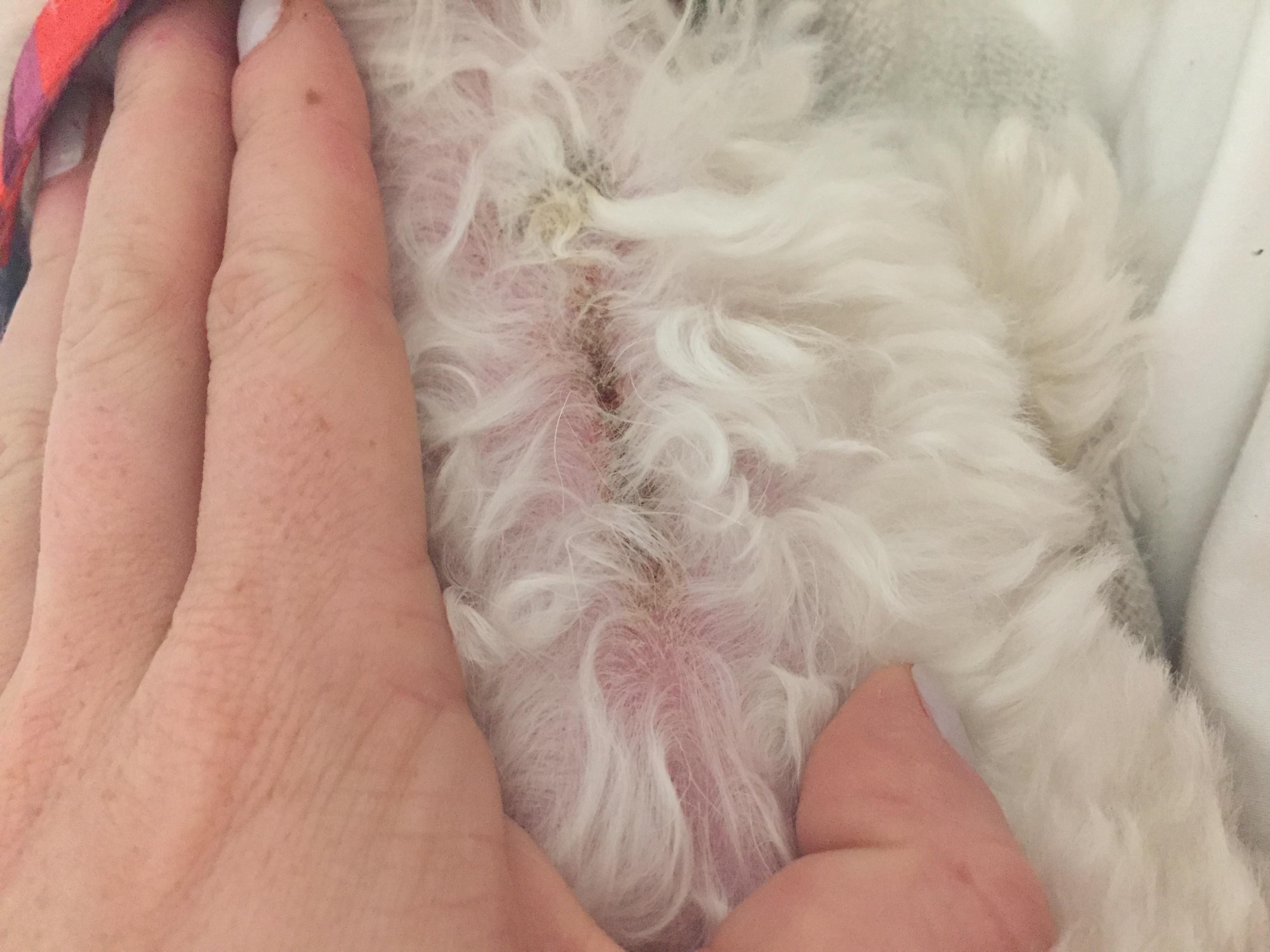 Question details sensitive content