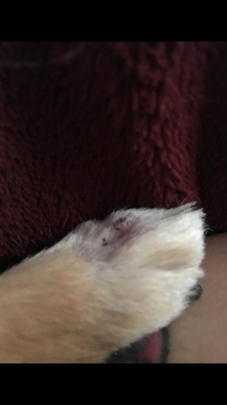 Question details sensitive content