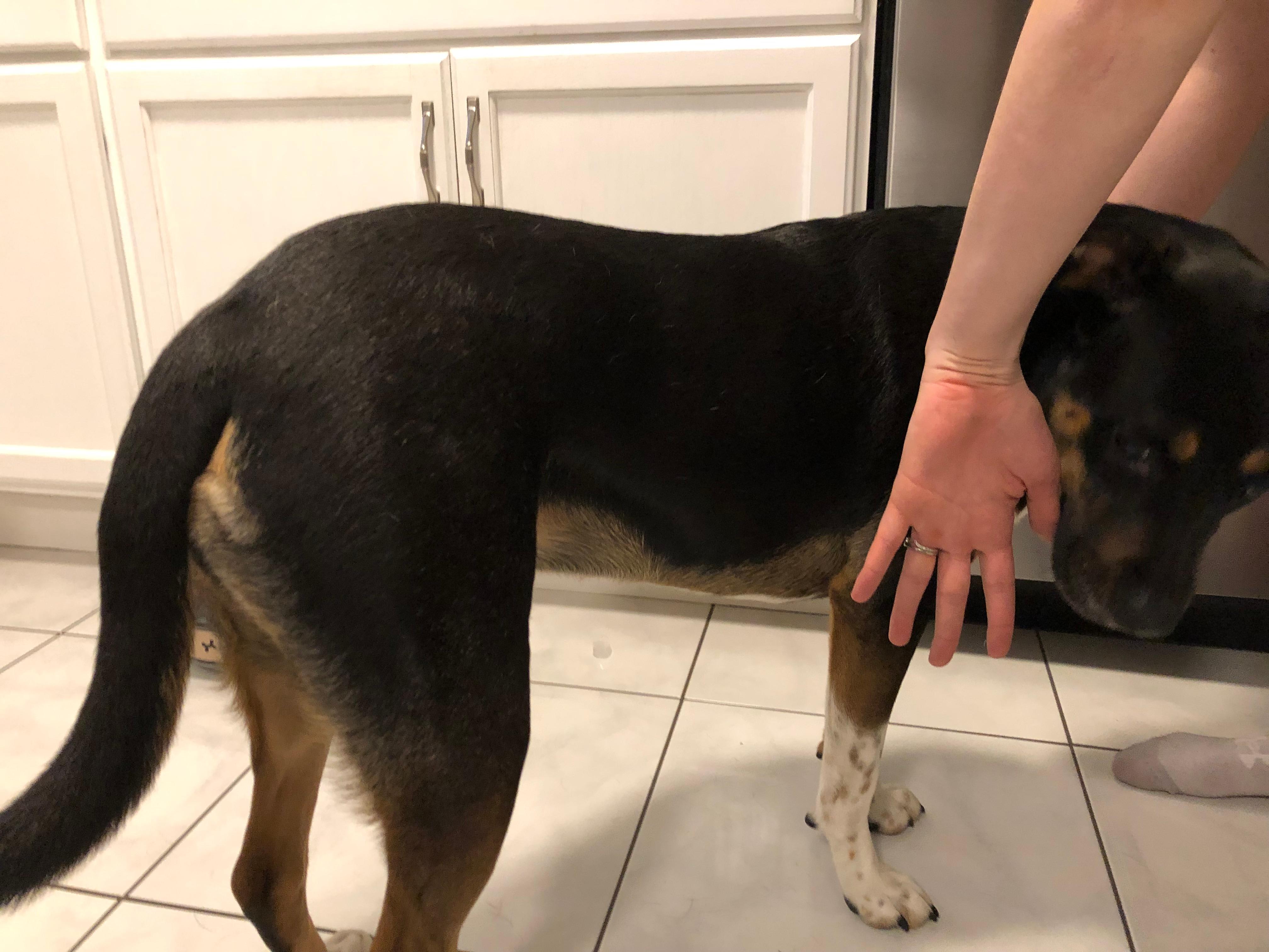 Question details sensitive content