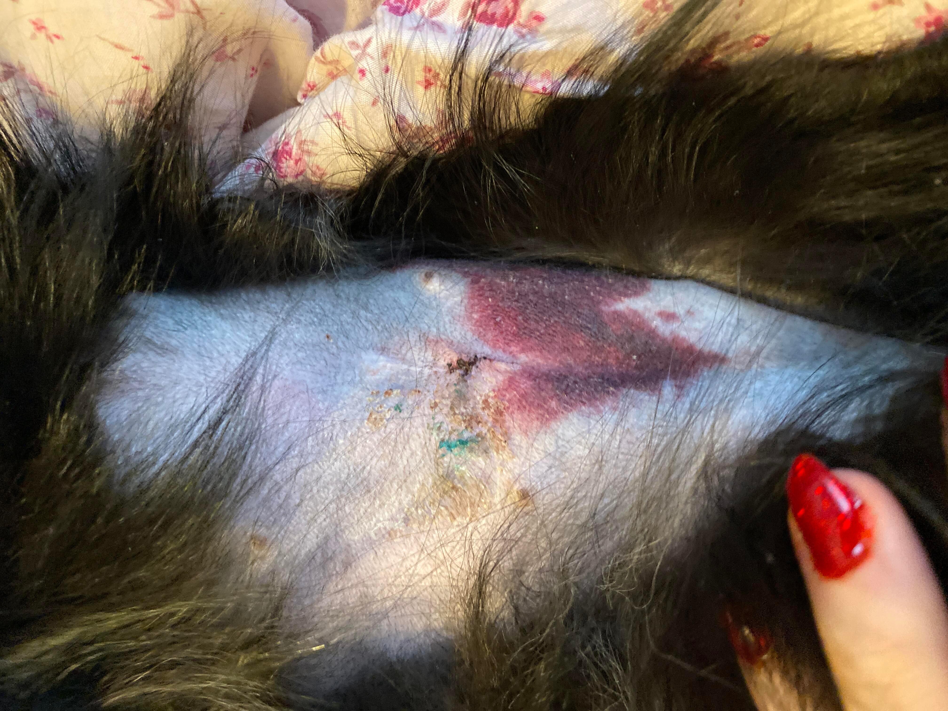 Question details sensitive content