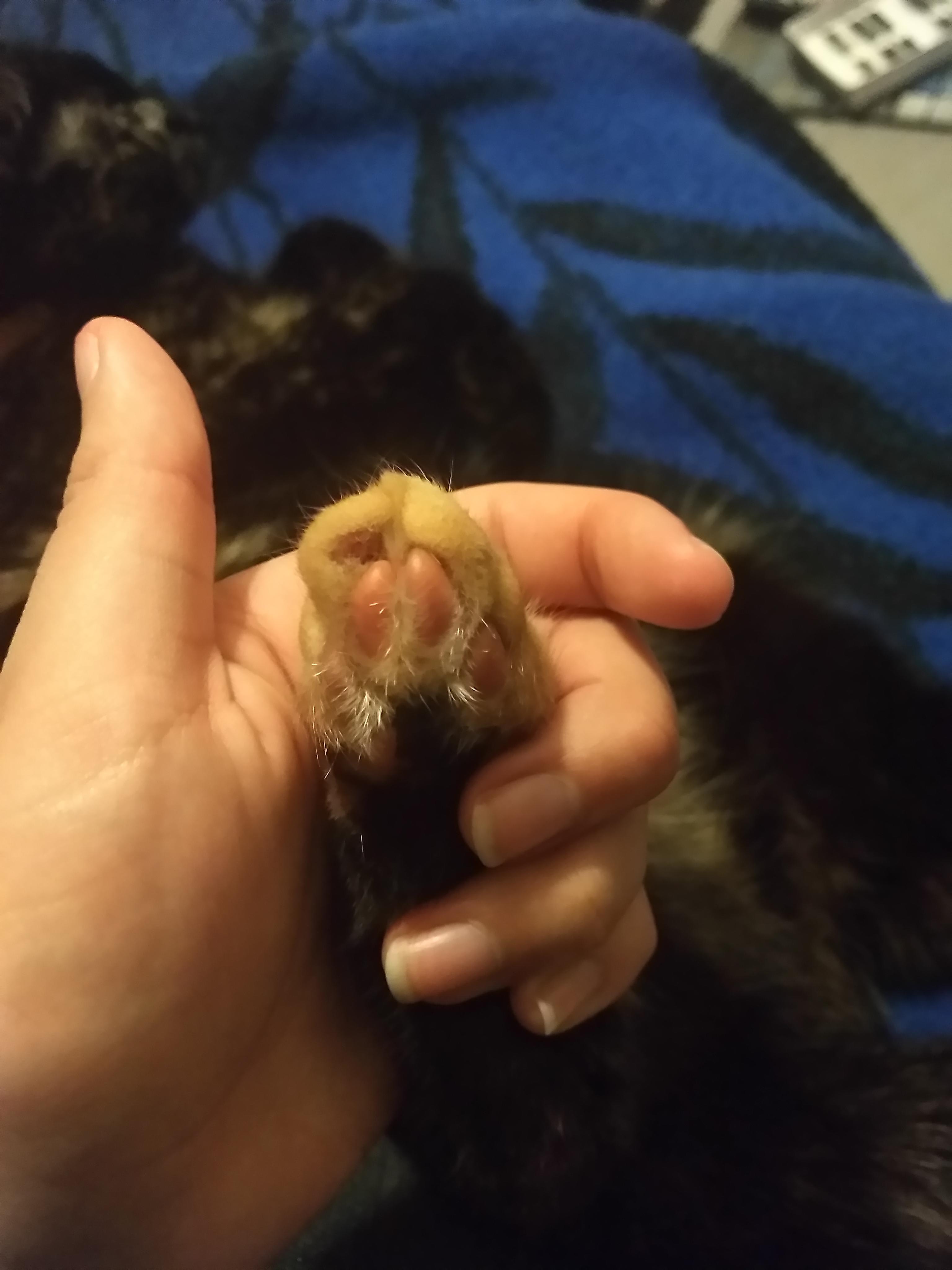 Question details sensitive content