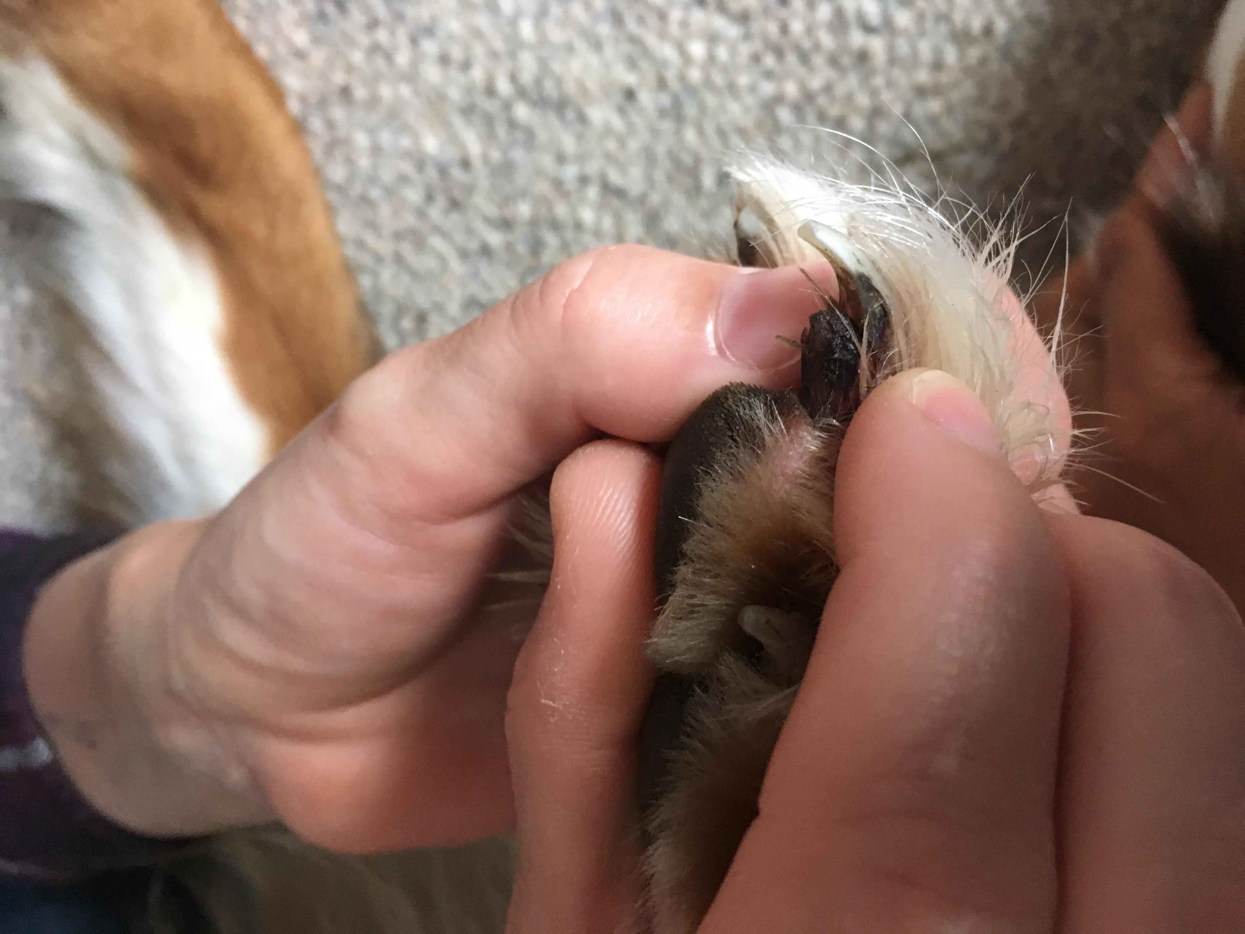 Question details sensitive content