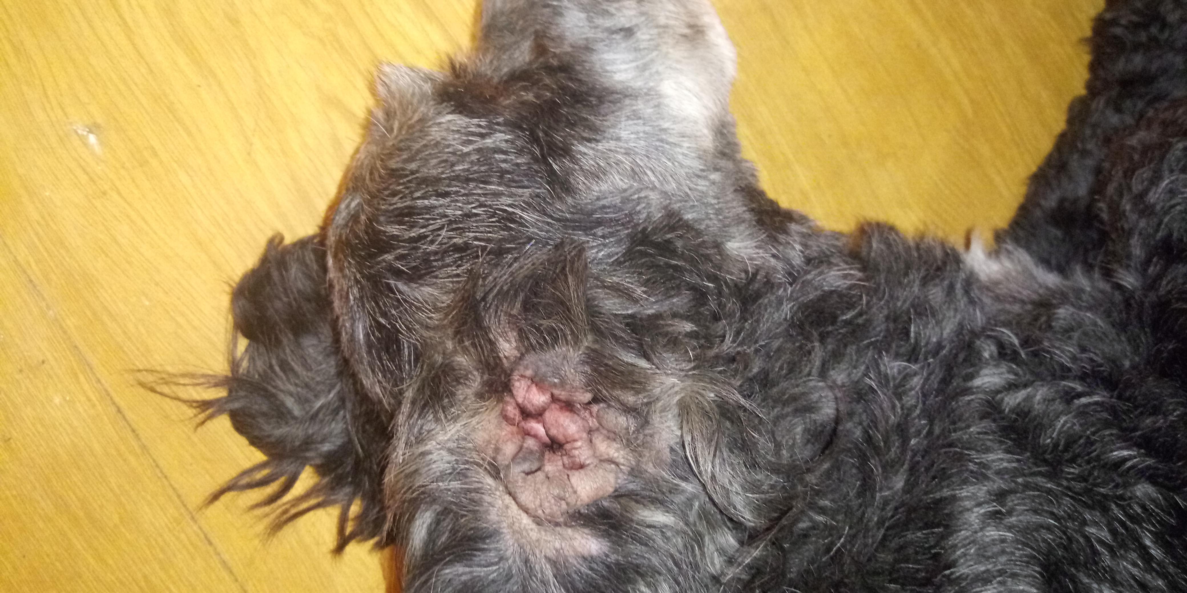 Question details sensitive content