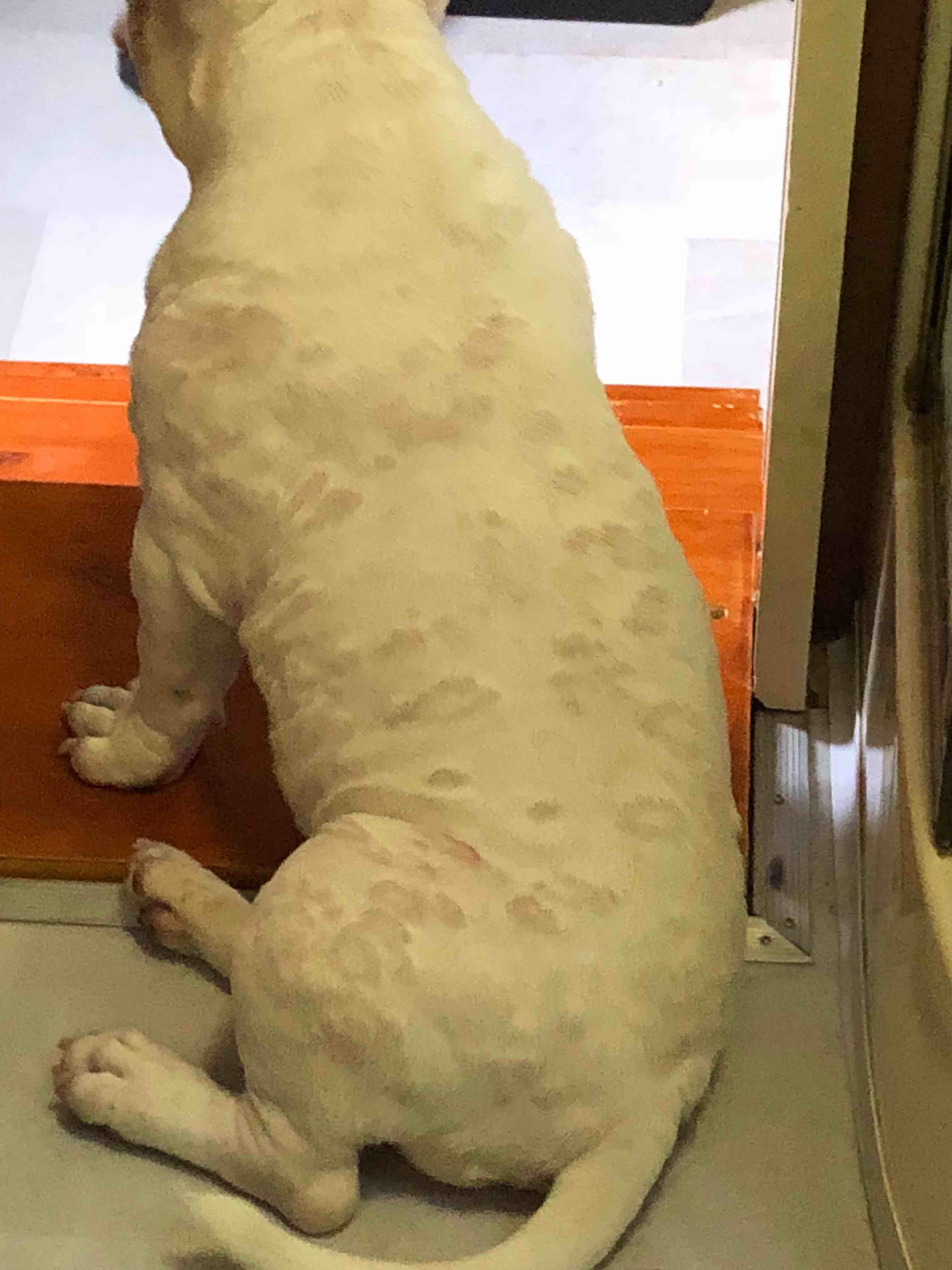 Question details sensitive content