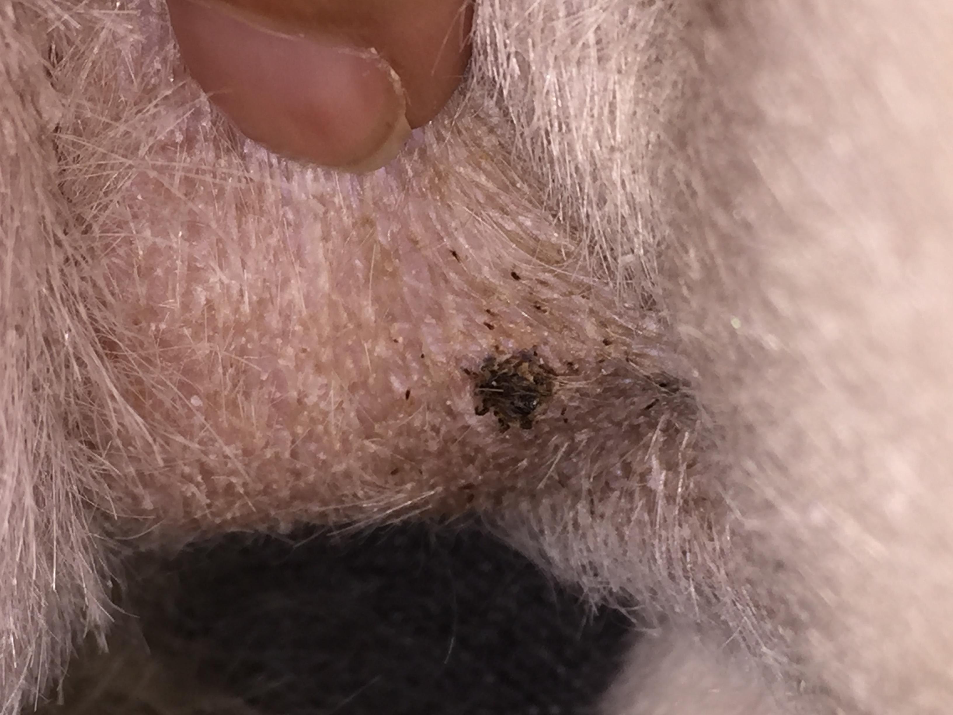 Question details sensitive content