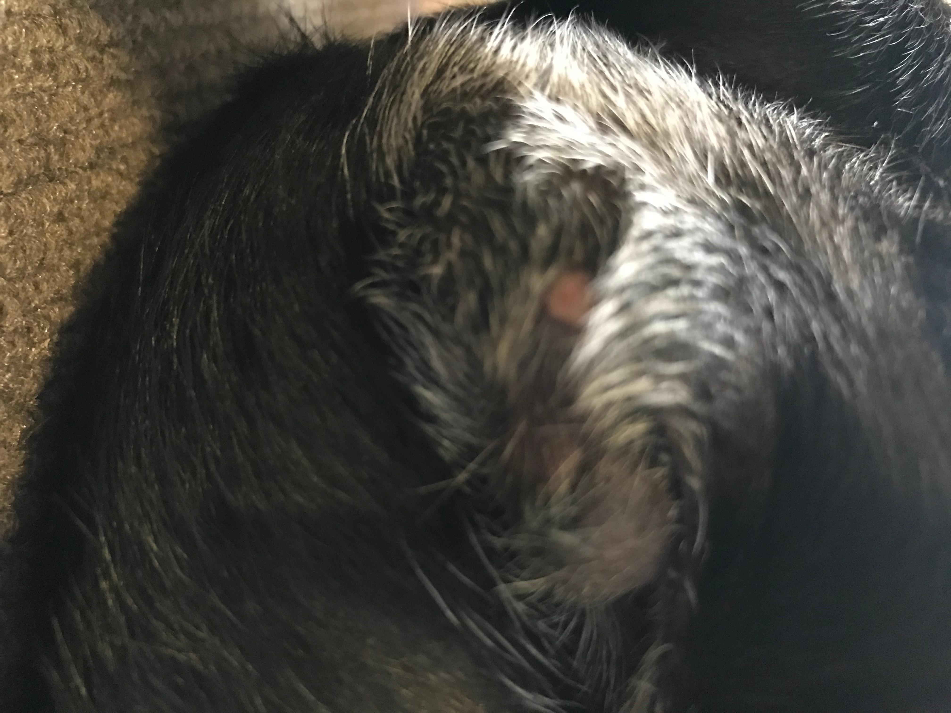 Question details sensitive content