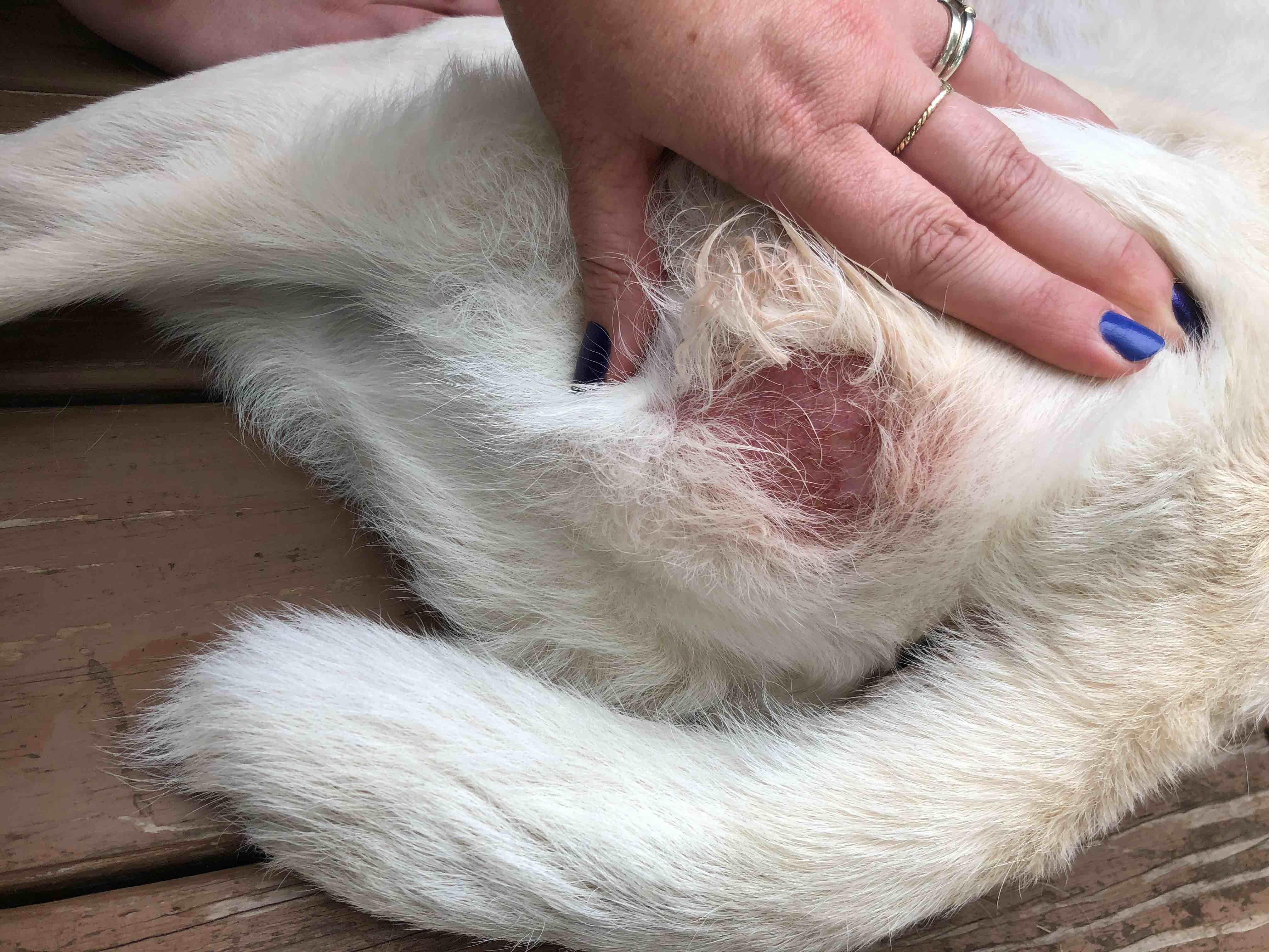 Question details sensitive content