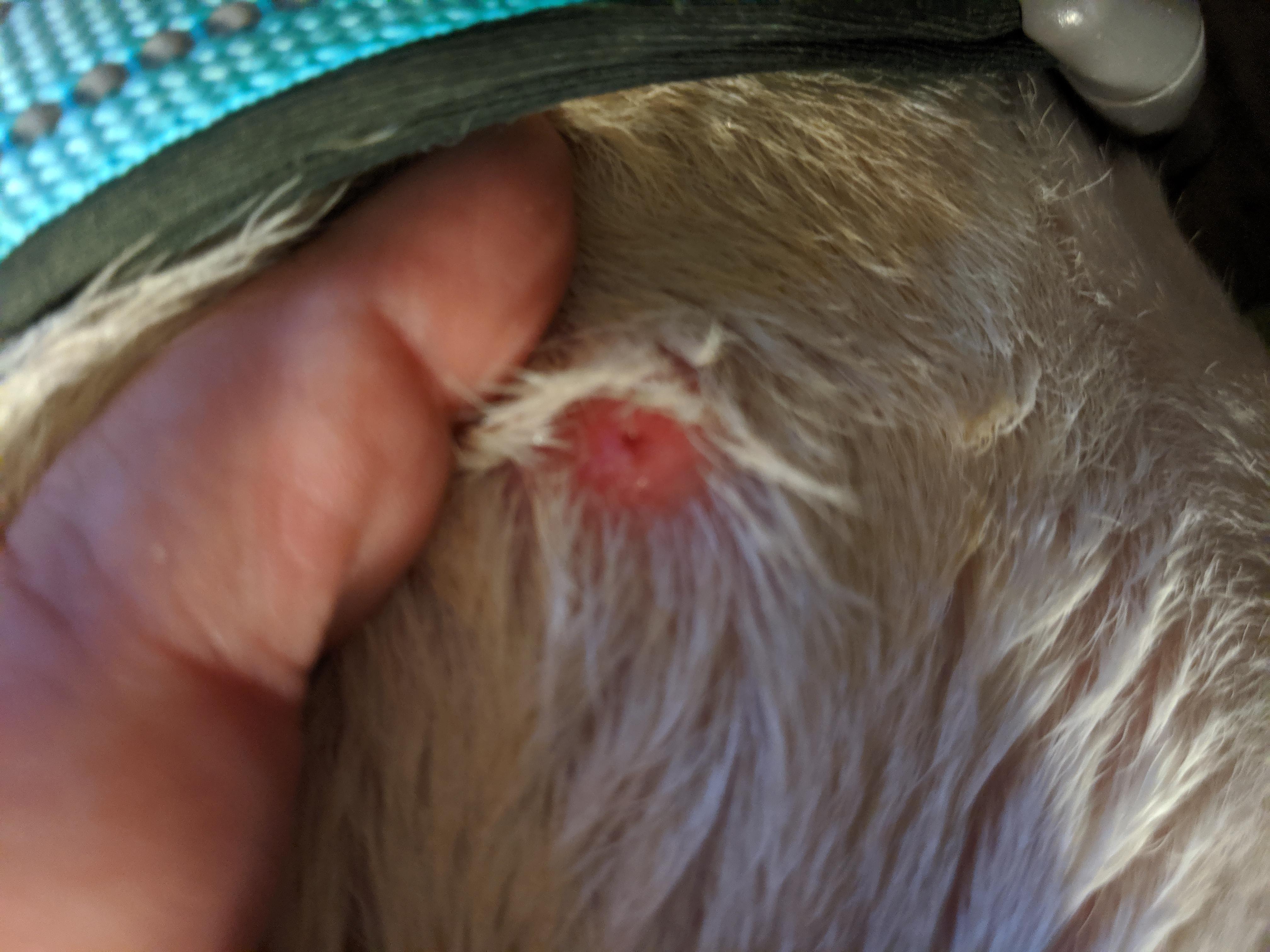 Question details sensitive content