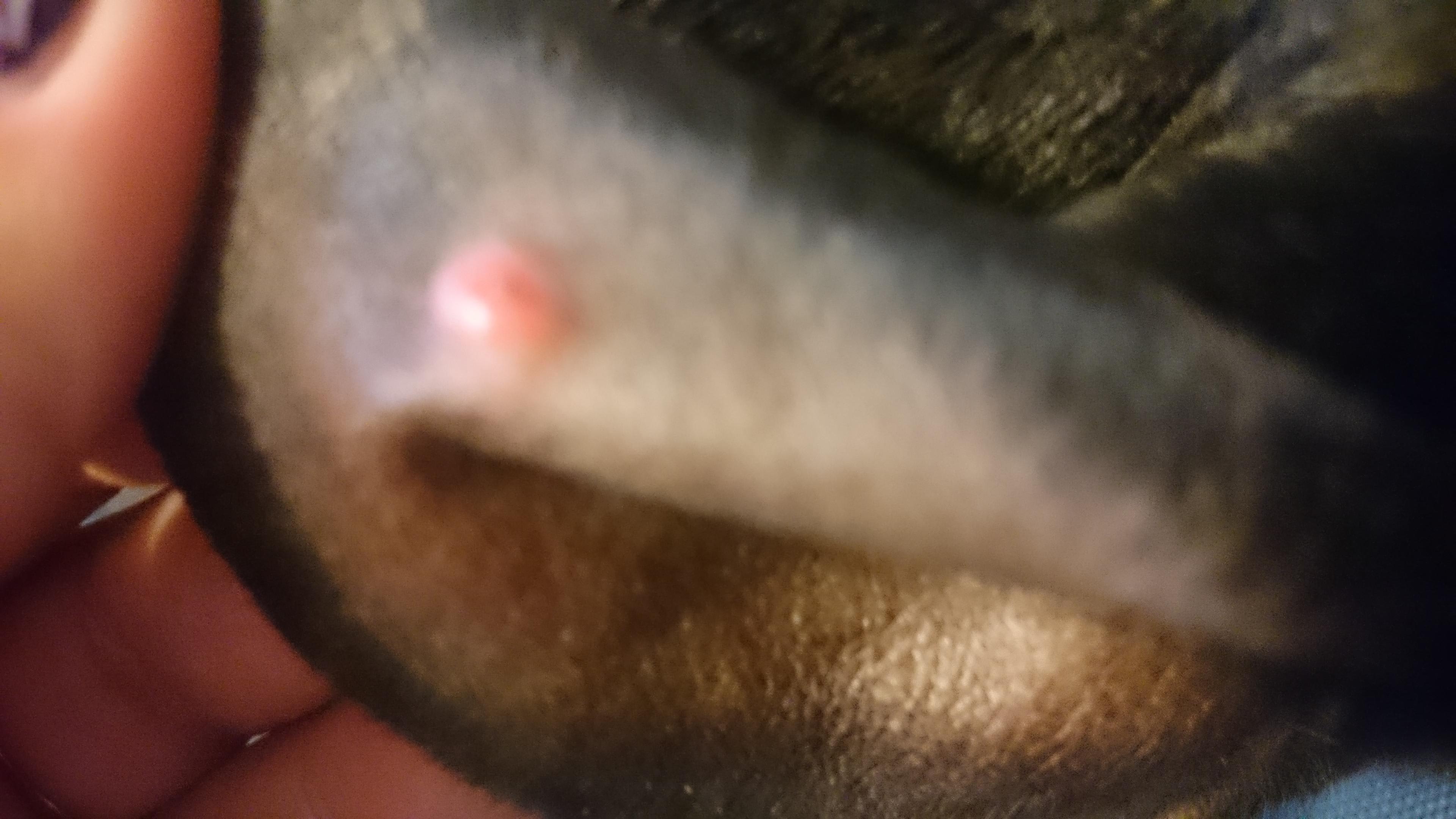 Question details sensitive content