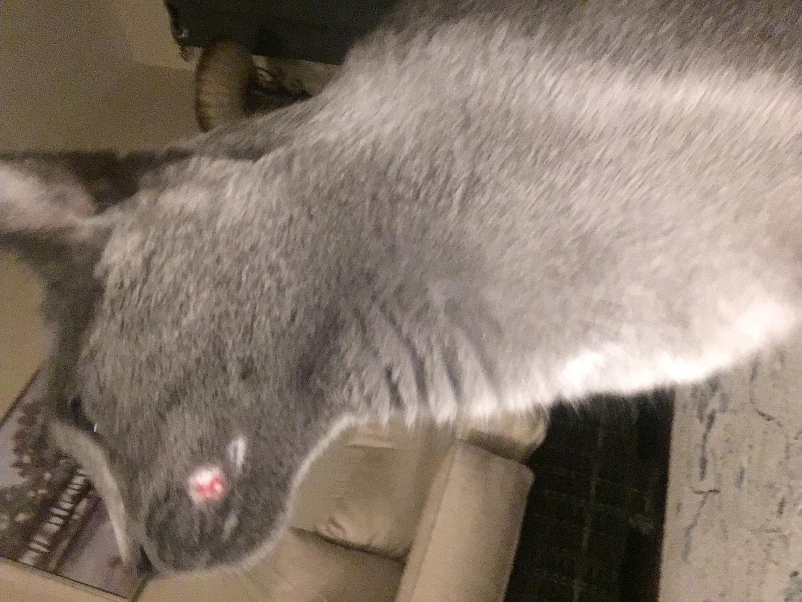 Question details sensitive content