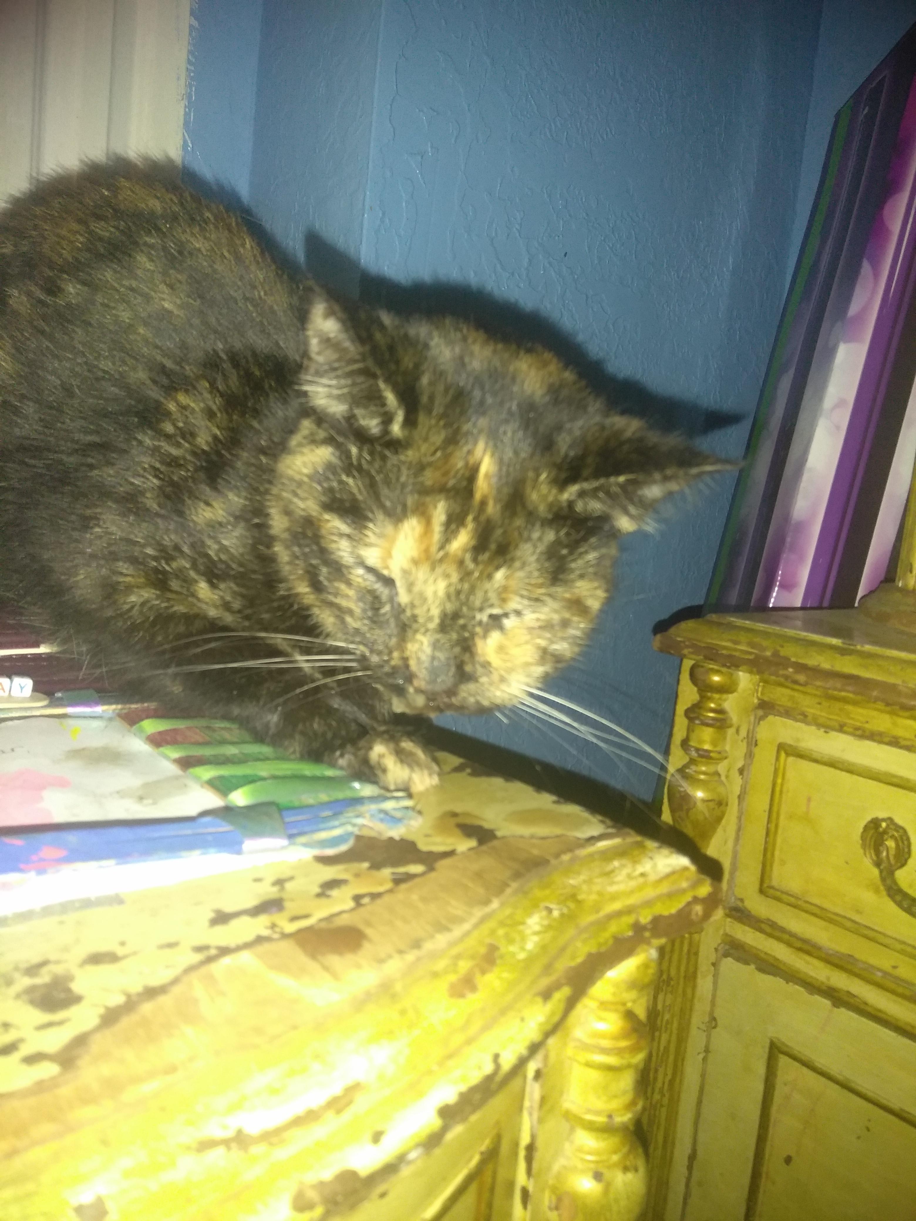 Question details sensitive content