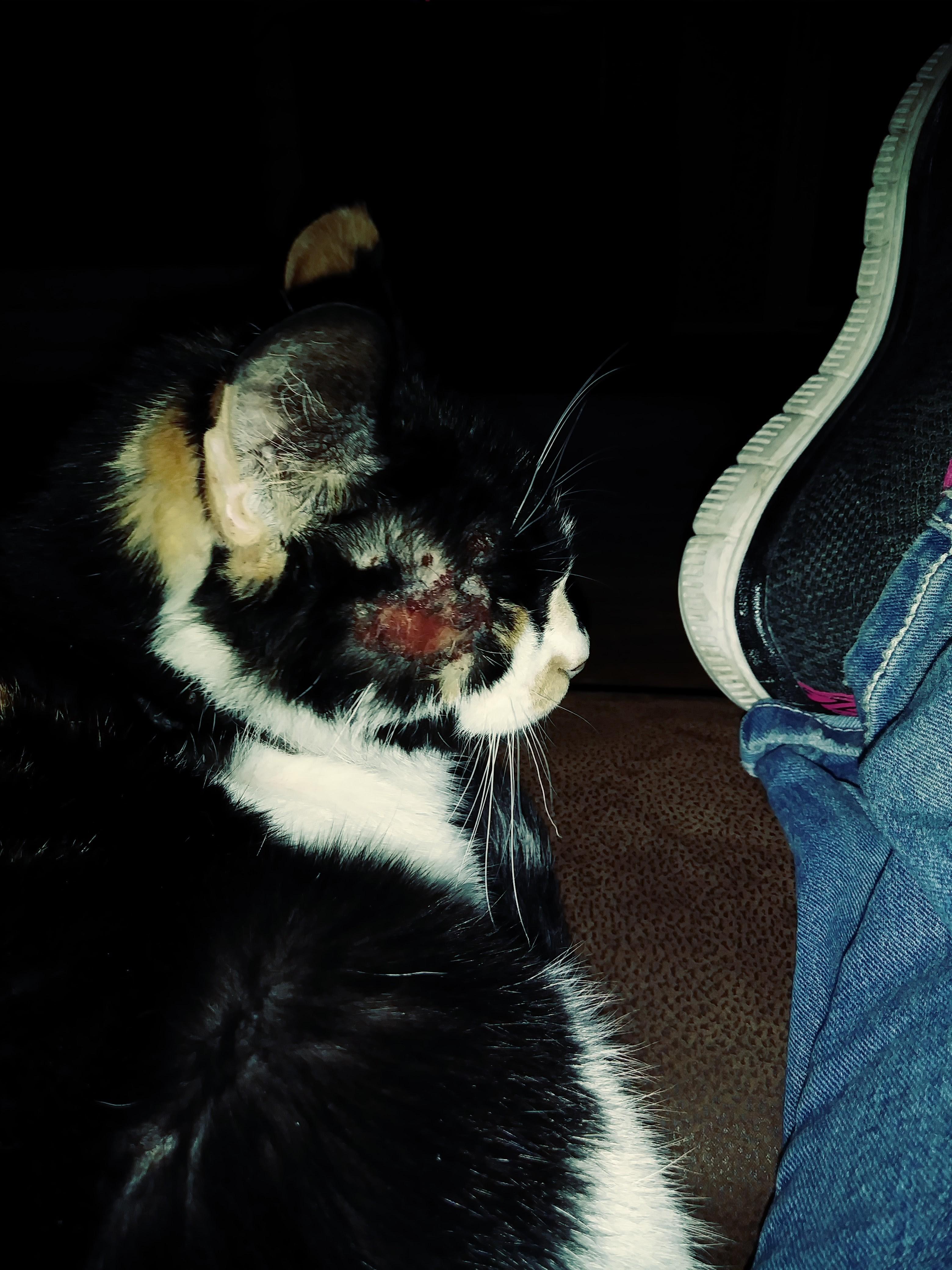 Question details sensitive content