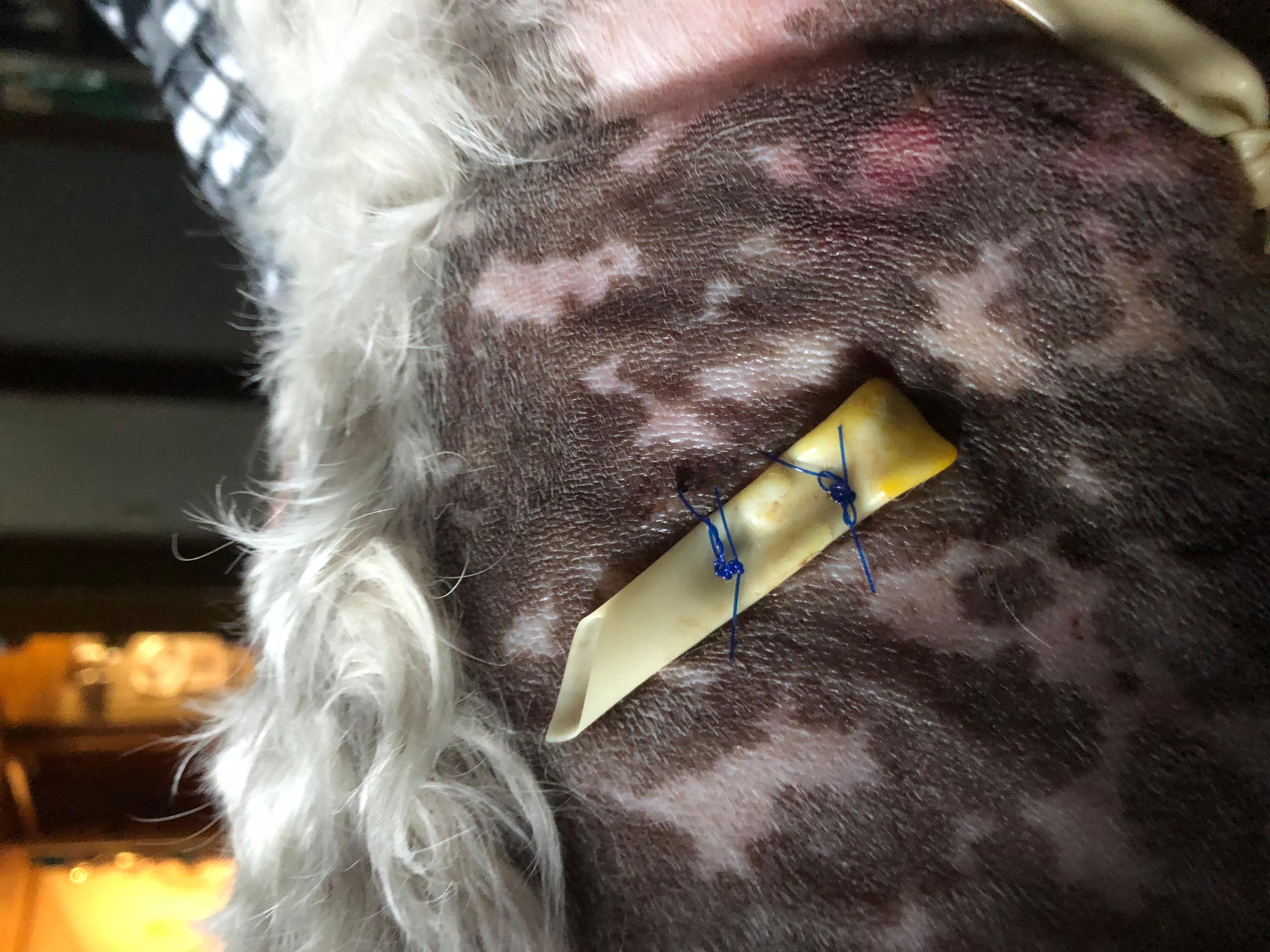 Question details sensitive content