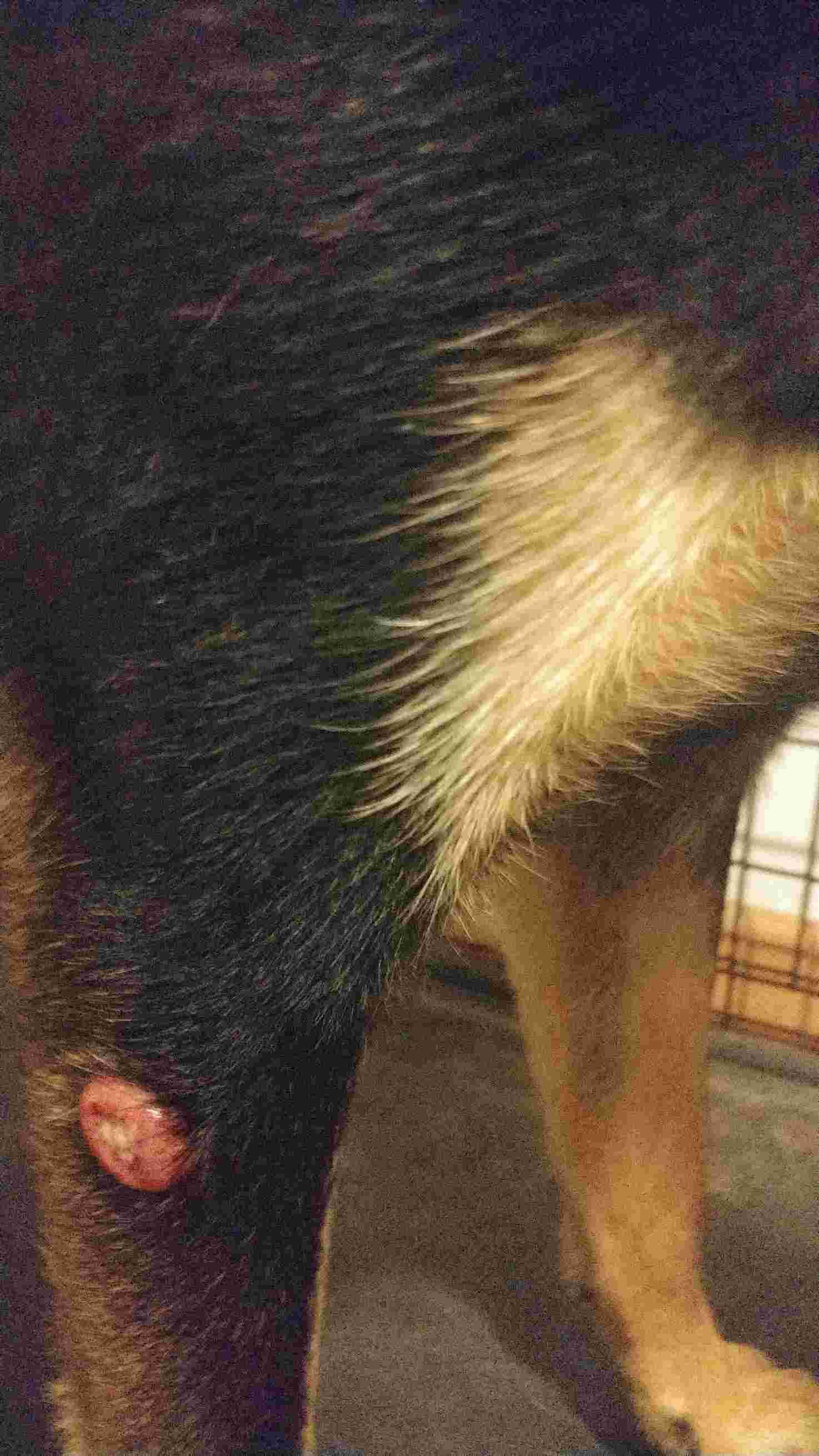 Question details sensitive content