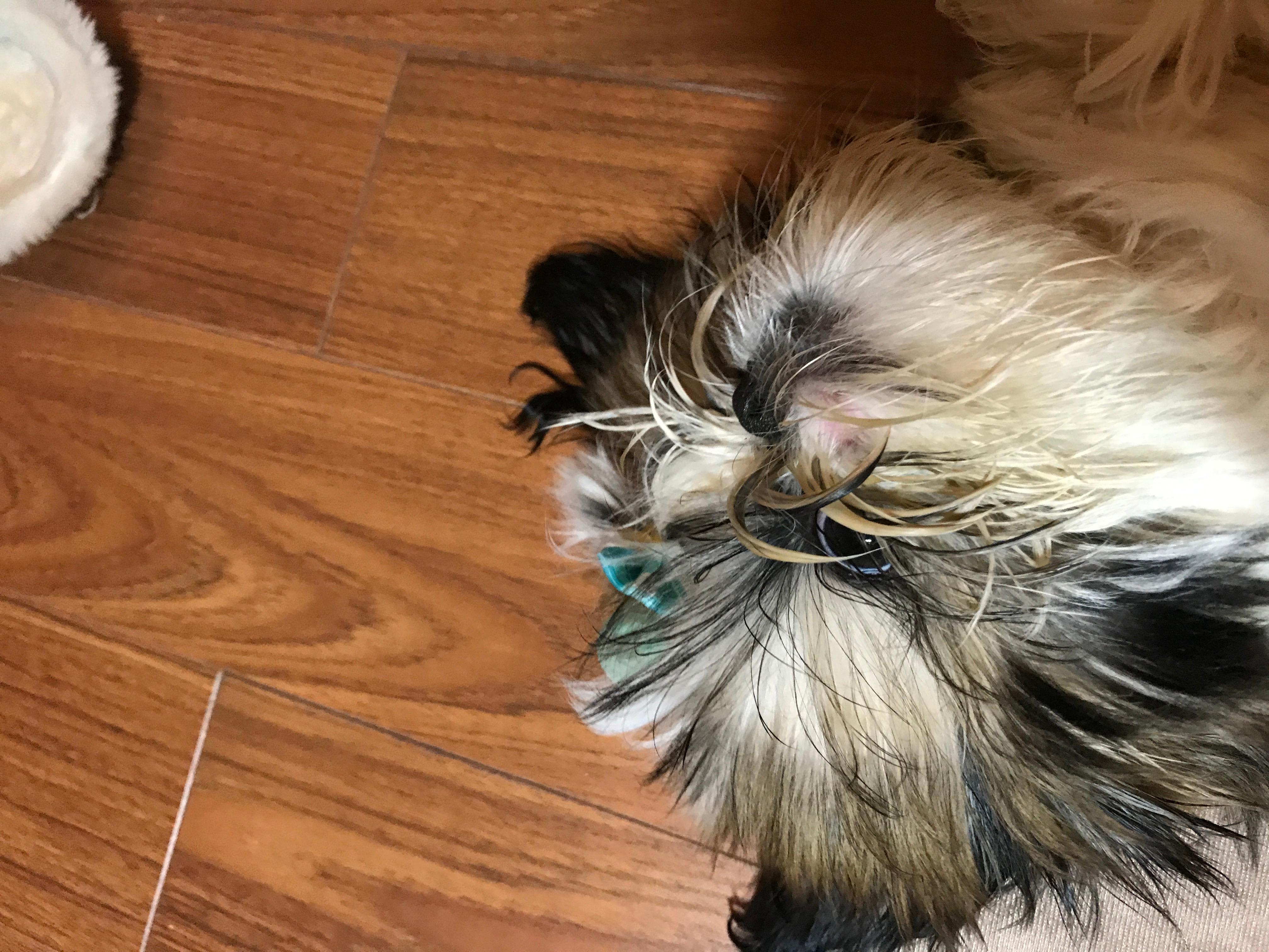 Question details sensitive content