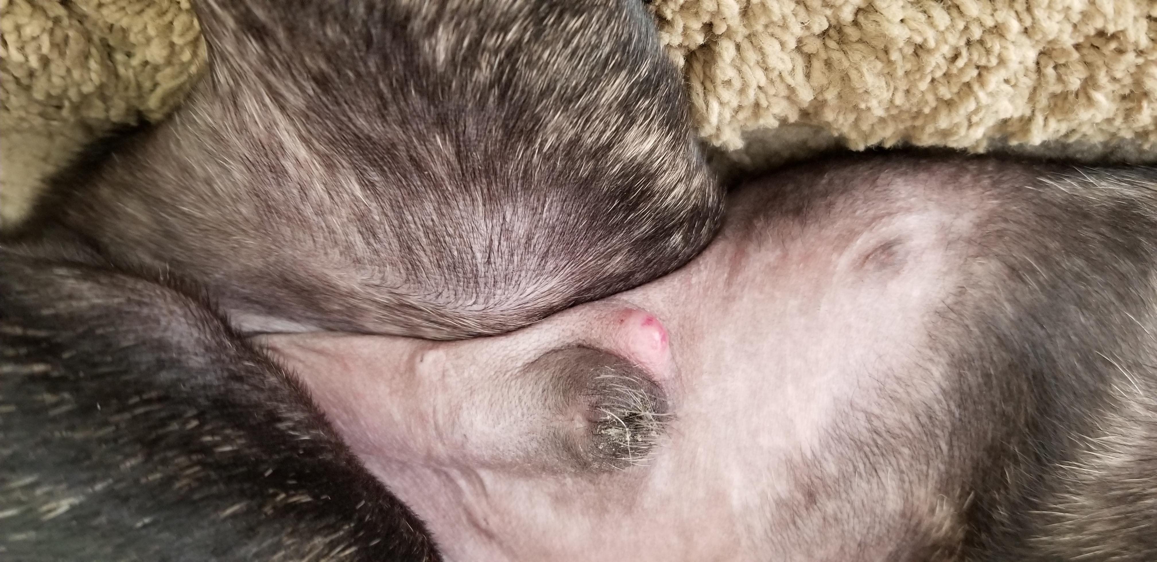 Question details sensitive content