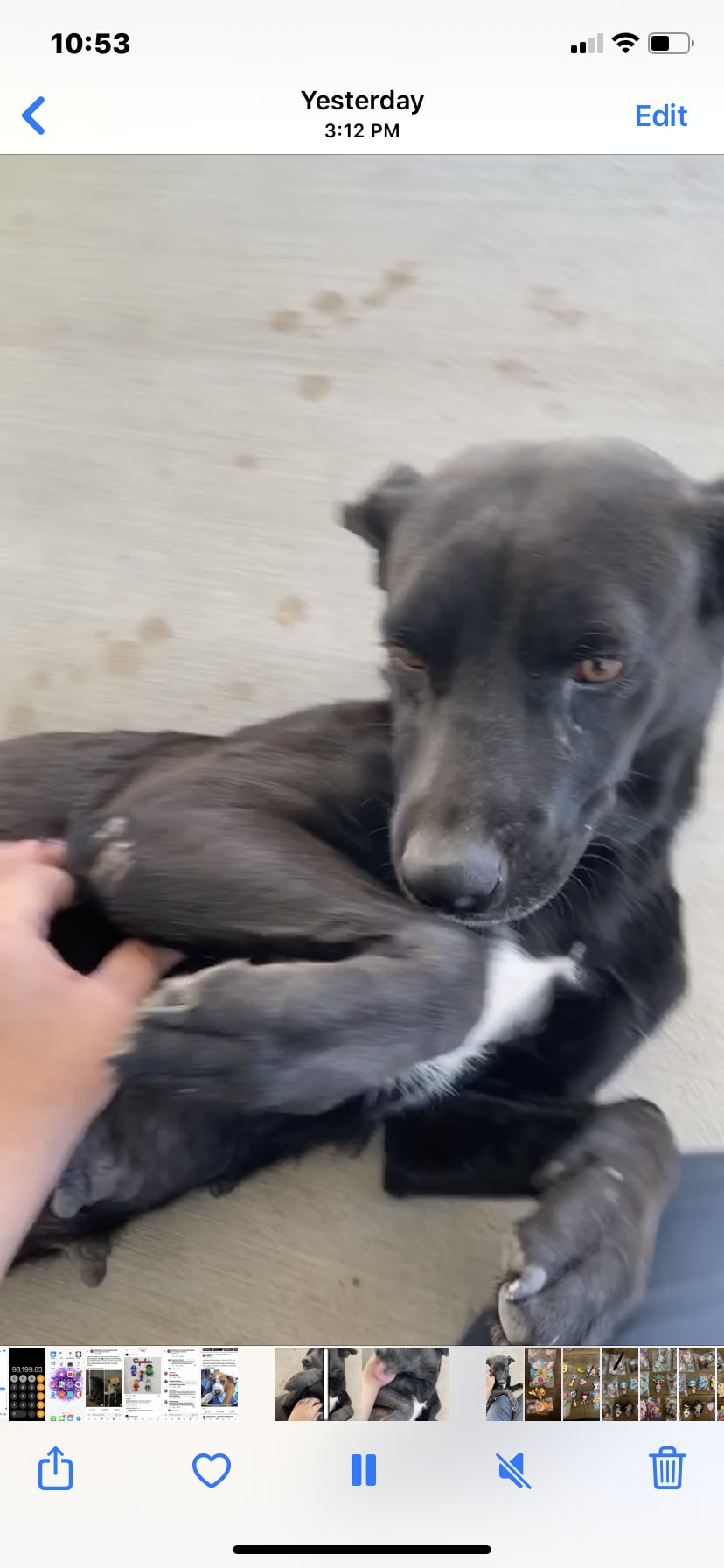 Question details sensitive content