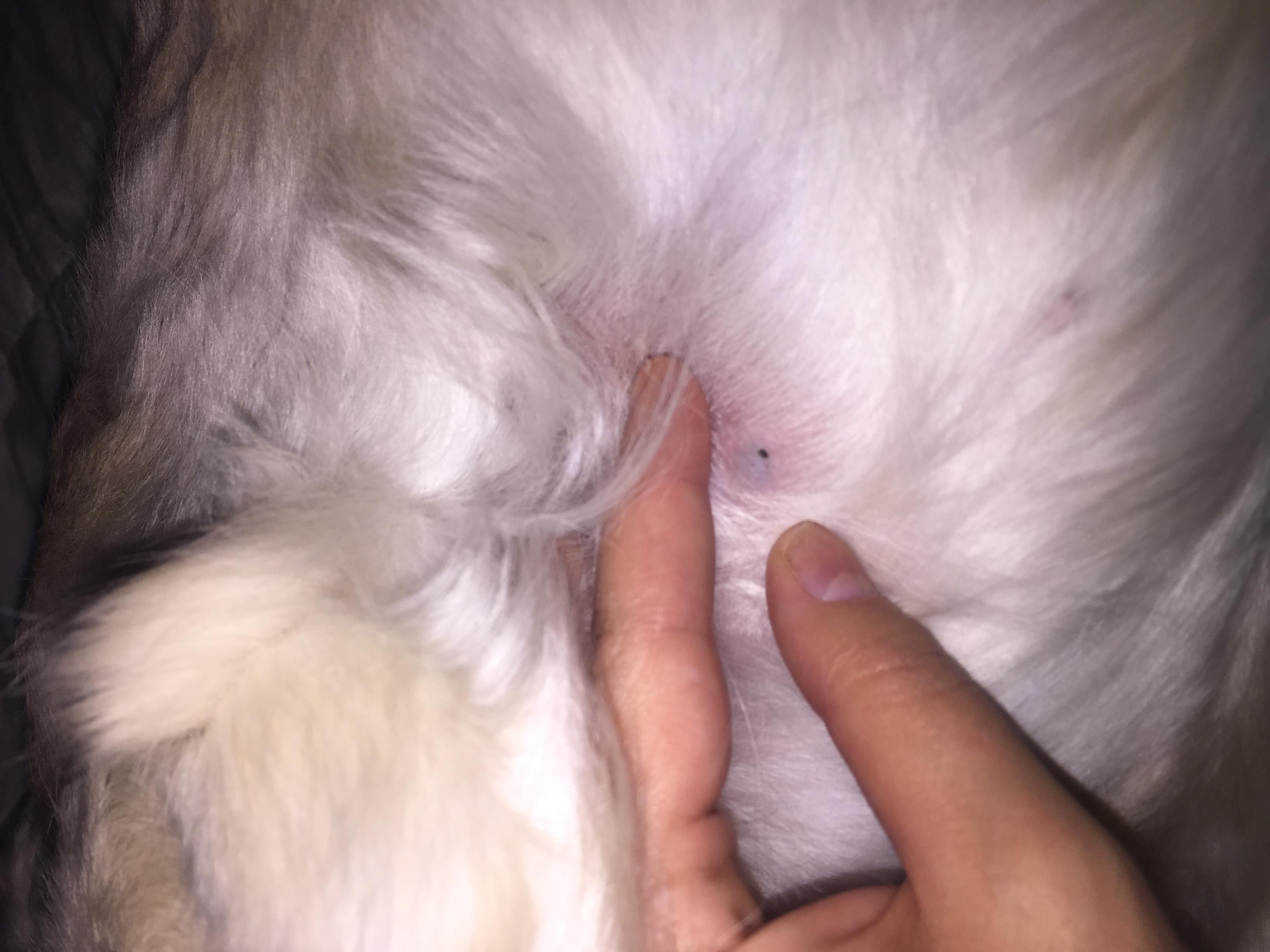 Question details sensitive content