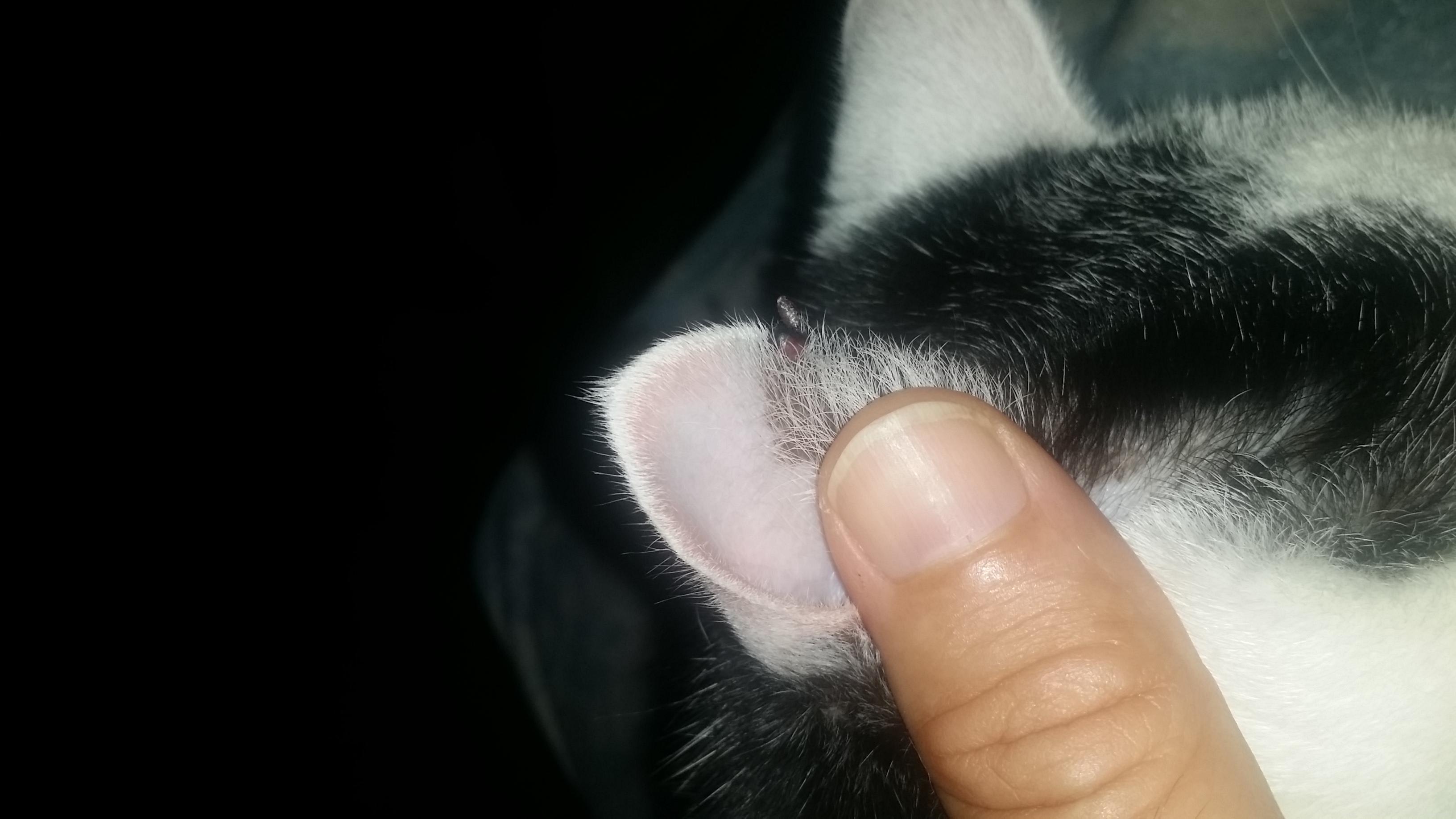 Question details sensitive content