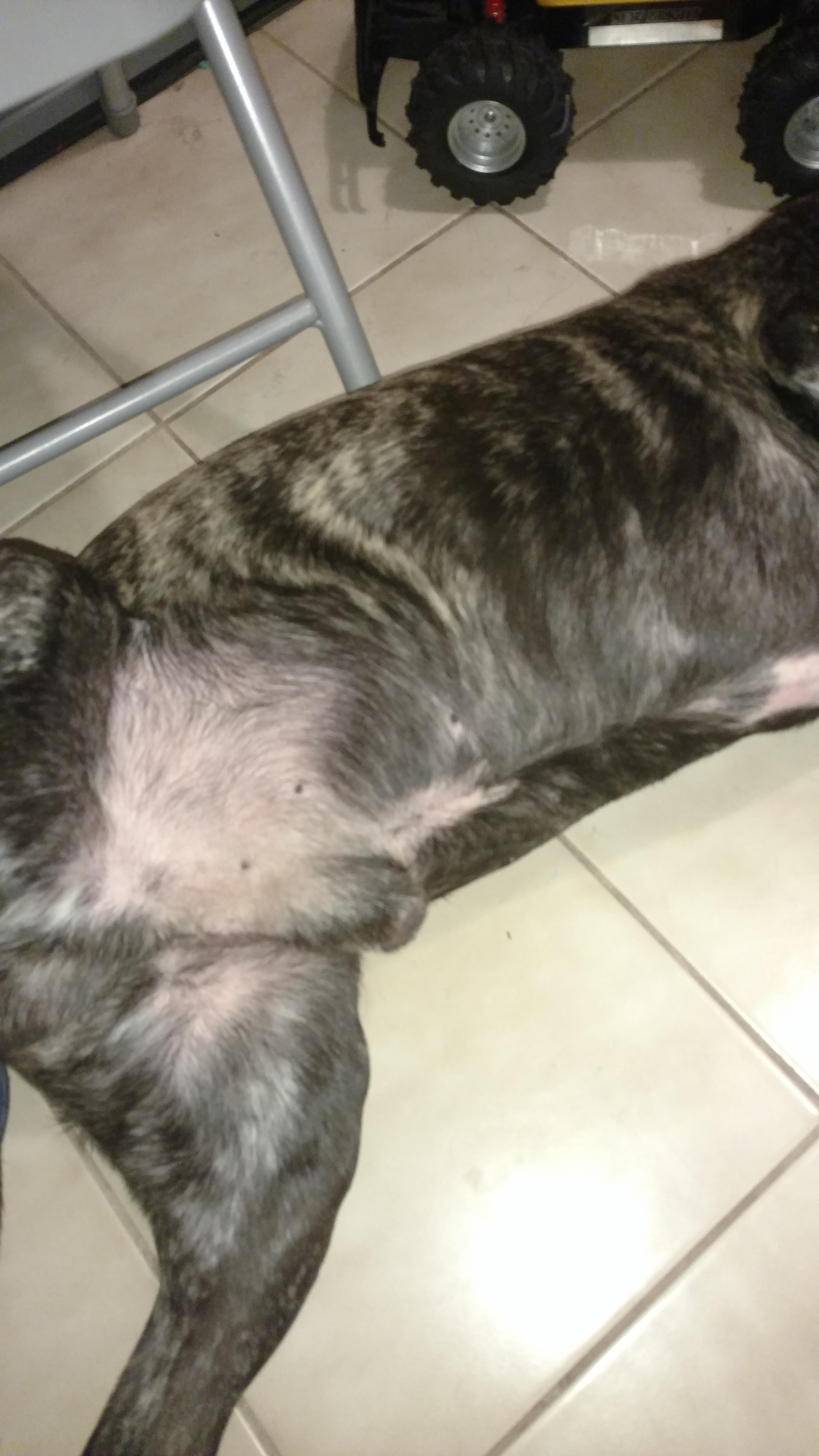 Question details sensitive content