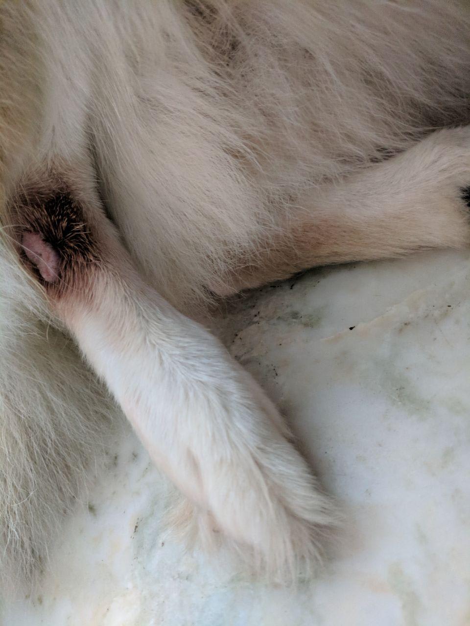 Question details sensitive content